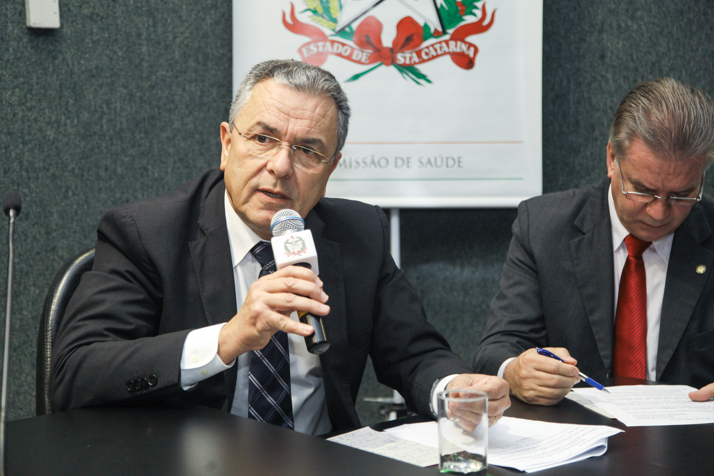Audiência Pública Sobre a Distribuição Gratuita de Análogos de Insulina.