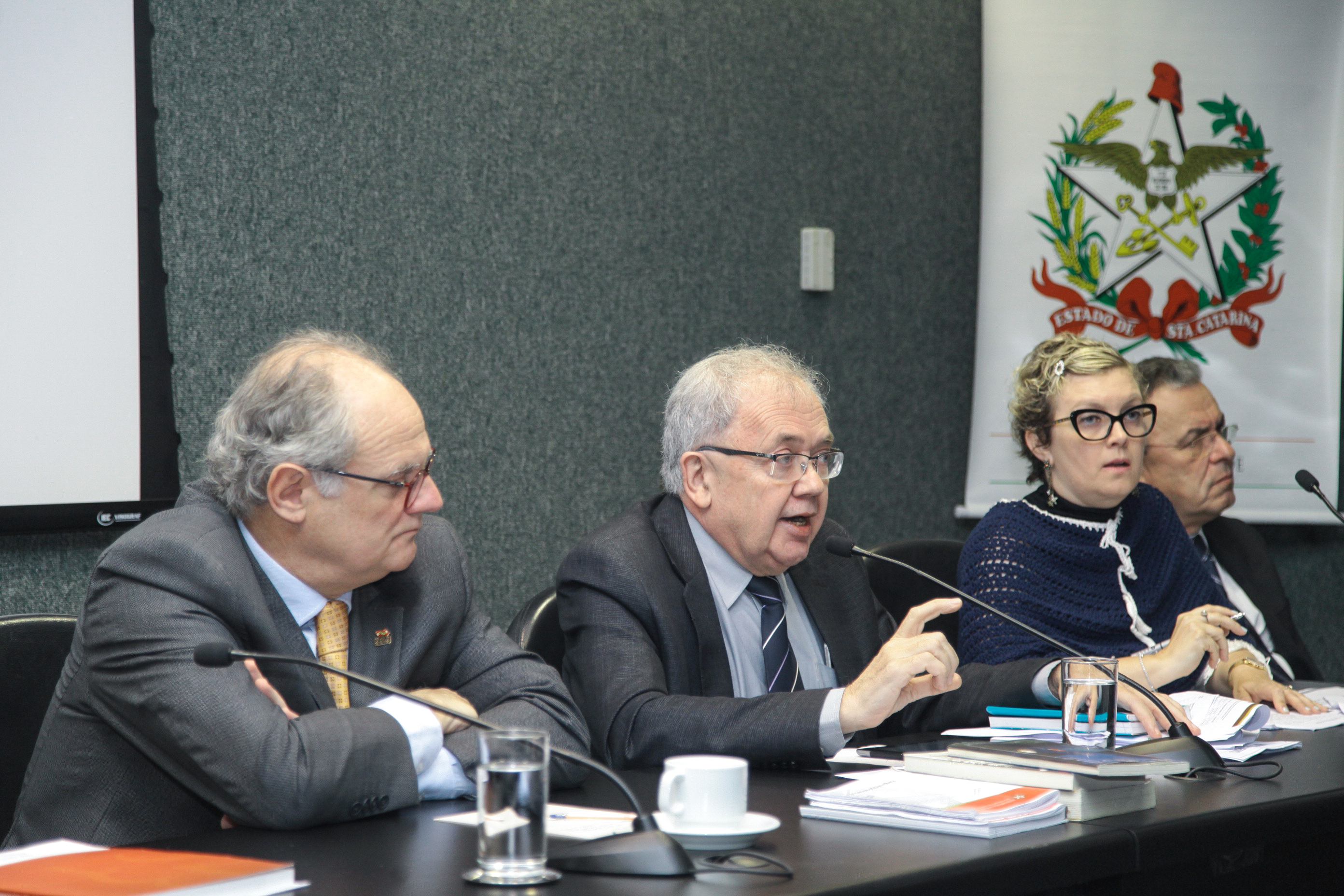 Audiência Pública Sobre a Distribuição Gratuita de Análogos de Insulina.