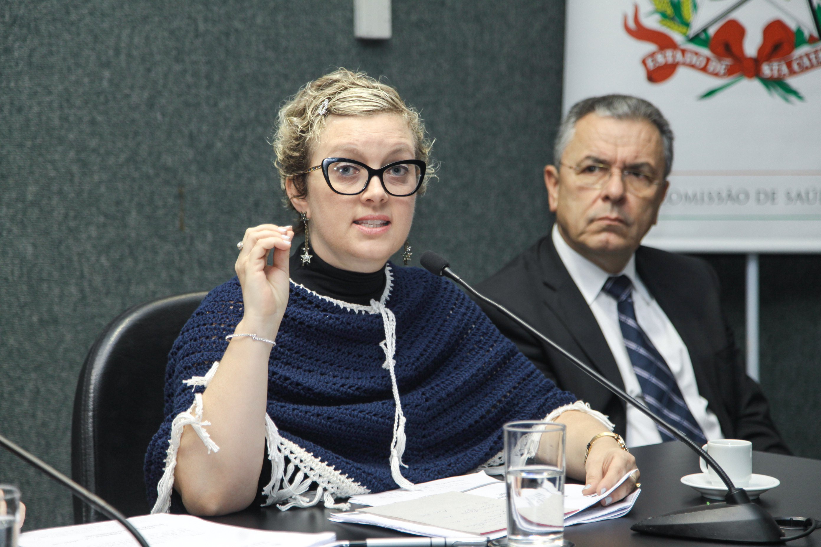 Audiência Pública Sobre a Distribuição Gratuita de Análogos de Insulina.