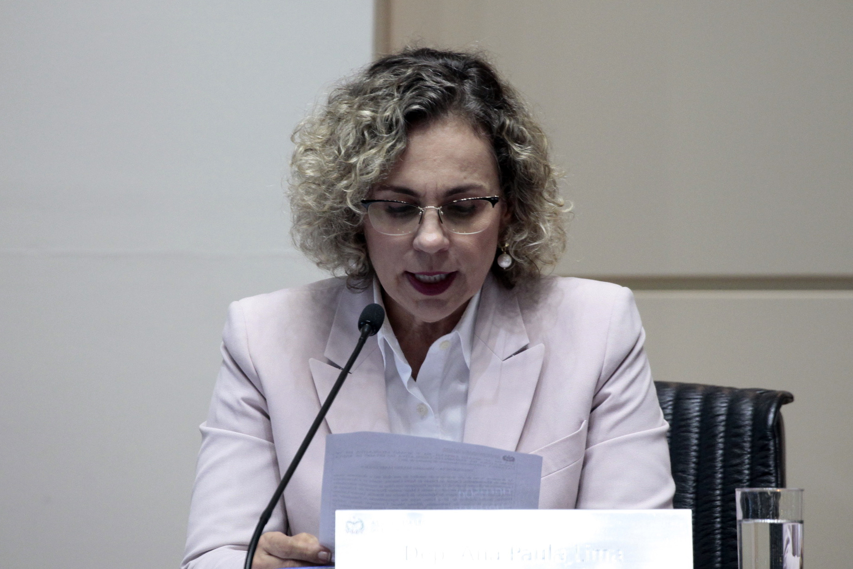 Sessão Ordinária. Foto: Fábio Queiroz / Agência AL