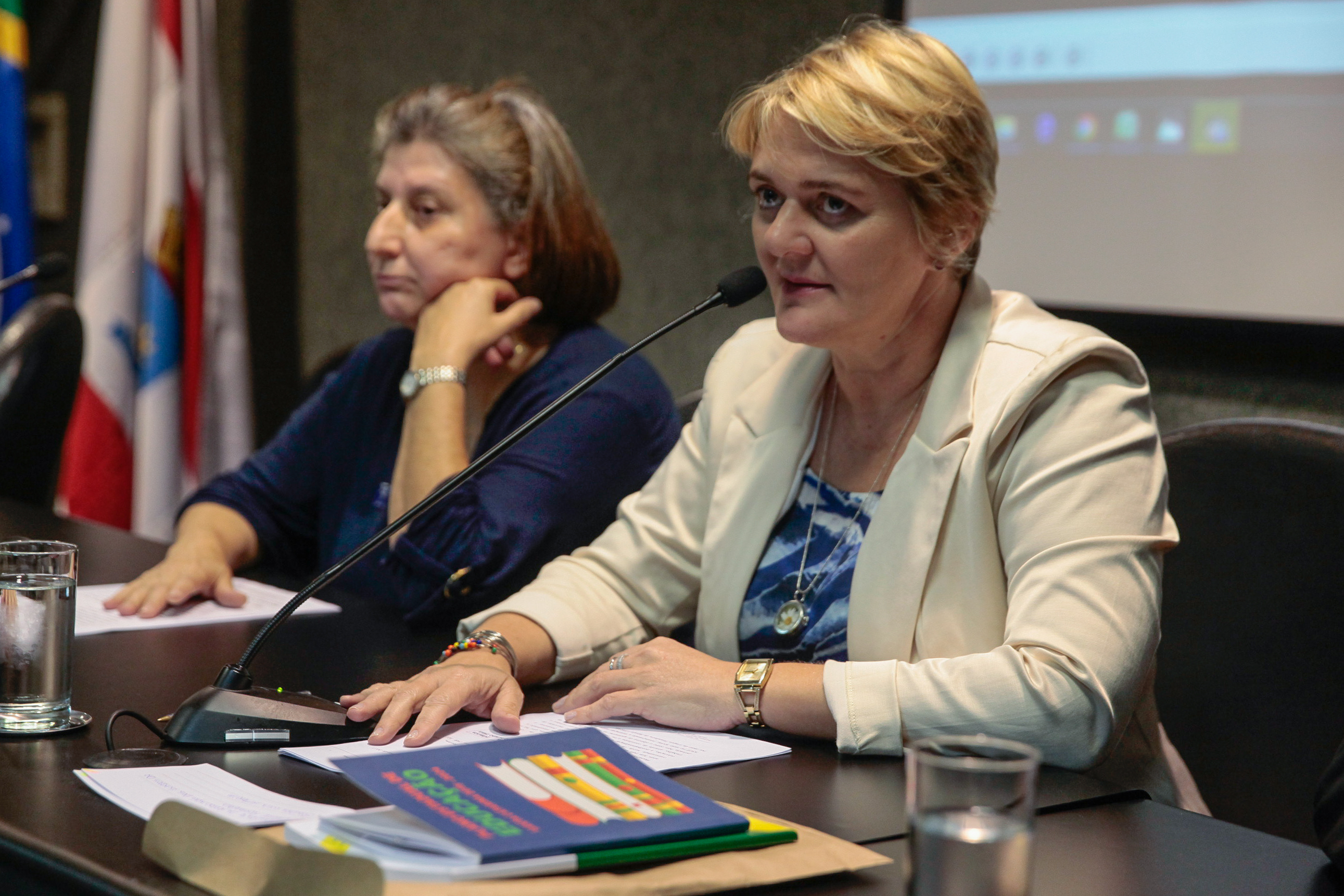Audiência Pública sobre Acessibilidade no Atendimento ao Cidadão Surdo pela Língua Brasileira de Sinais.