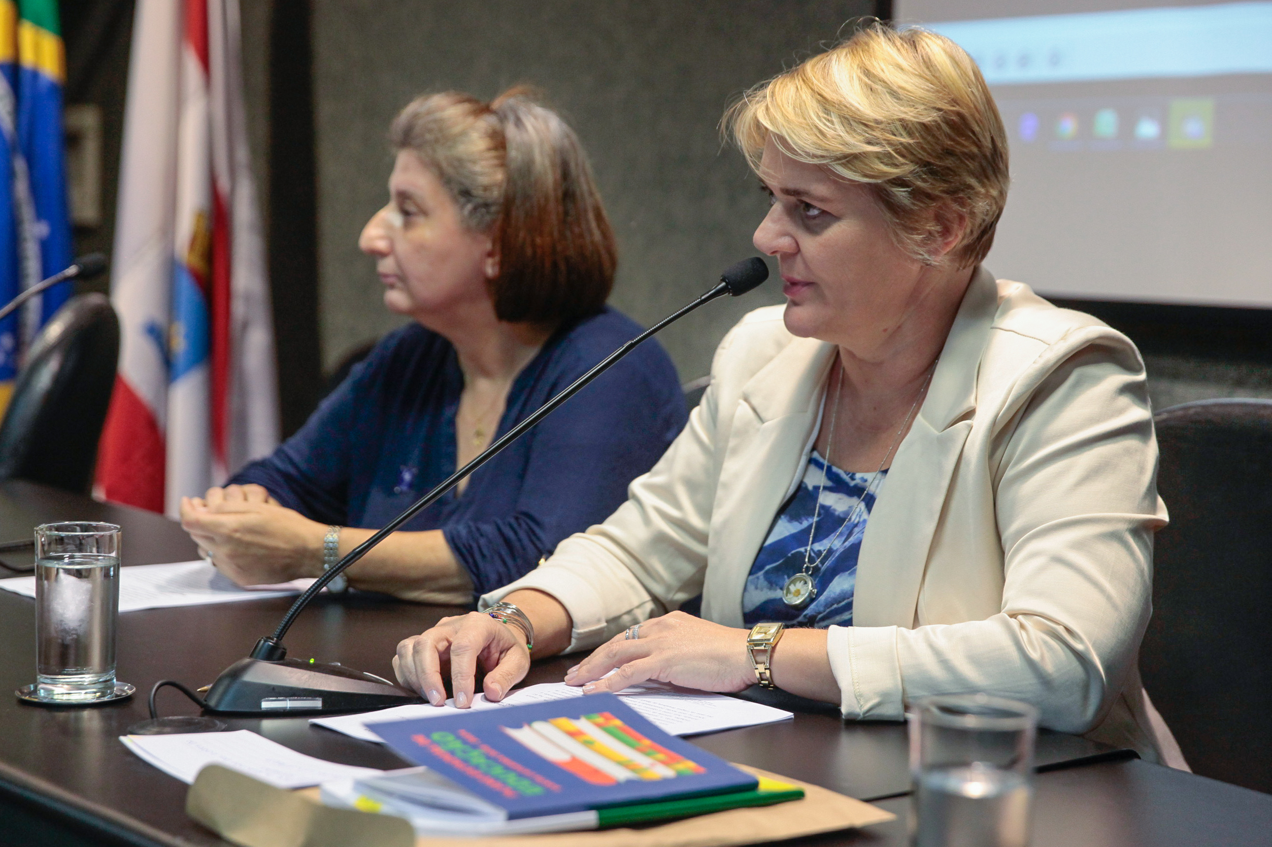 Audiência Pública sobre Acessibilidade no Atendimento ao Cidadão Surdo pela Língua Brasileira de Sinais.