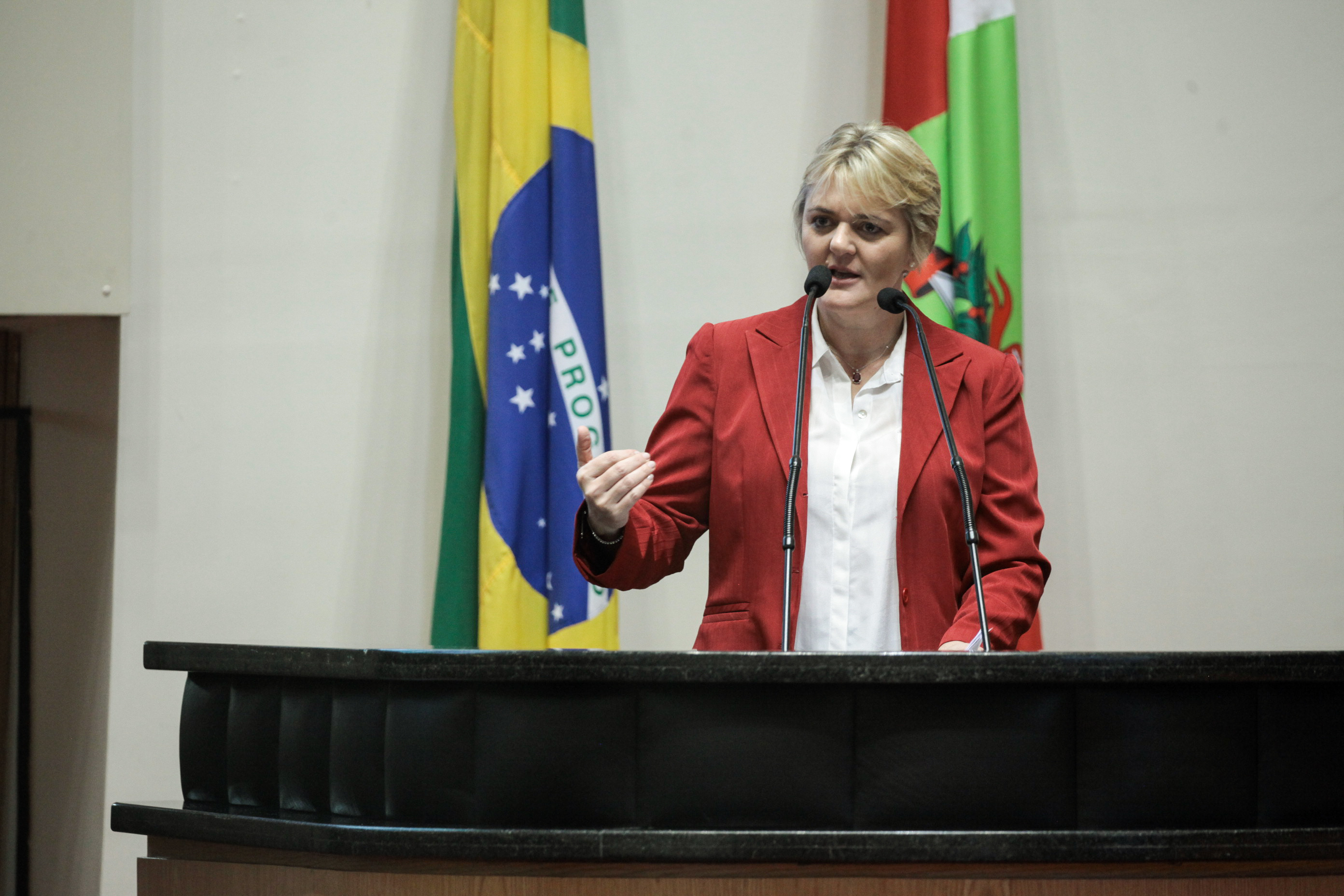 Deputada Luciane Carminatti (PT). Sessão Ordinária.