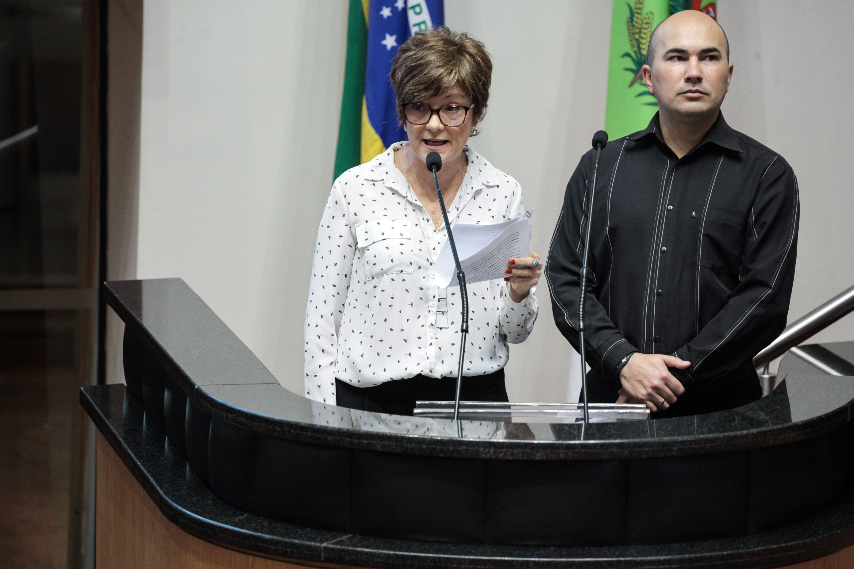Sandra Meyer - Professora de Dança da Udesc. Sessão Ordinária.