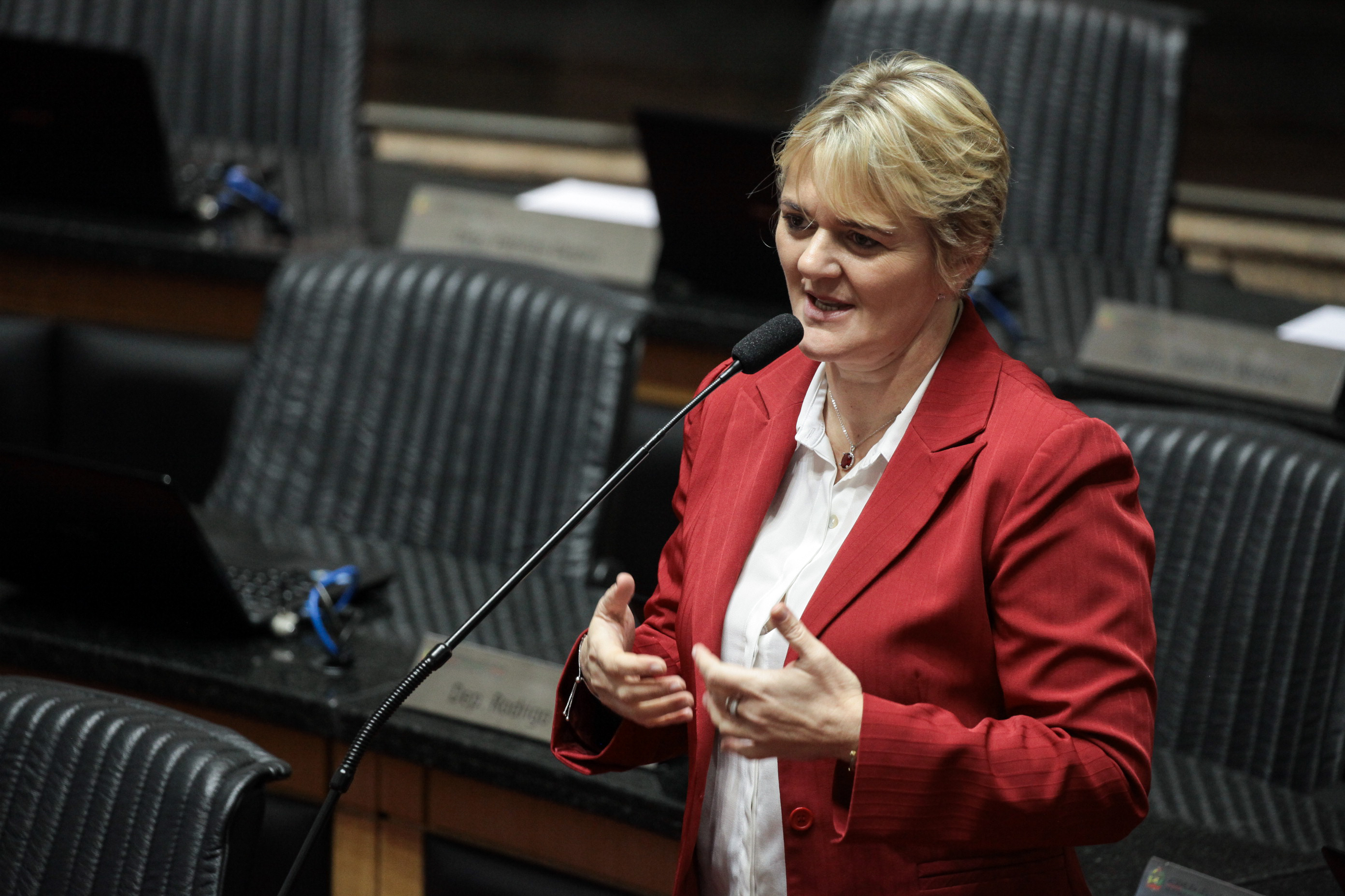 Deputada Luciane Carminatti (PT). Sessão Ordinária.