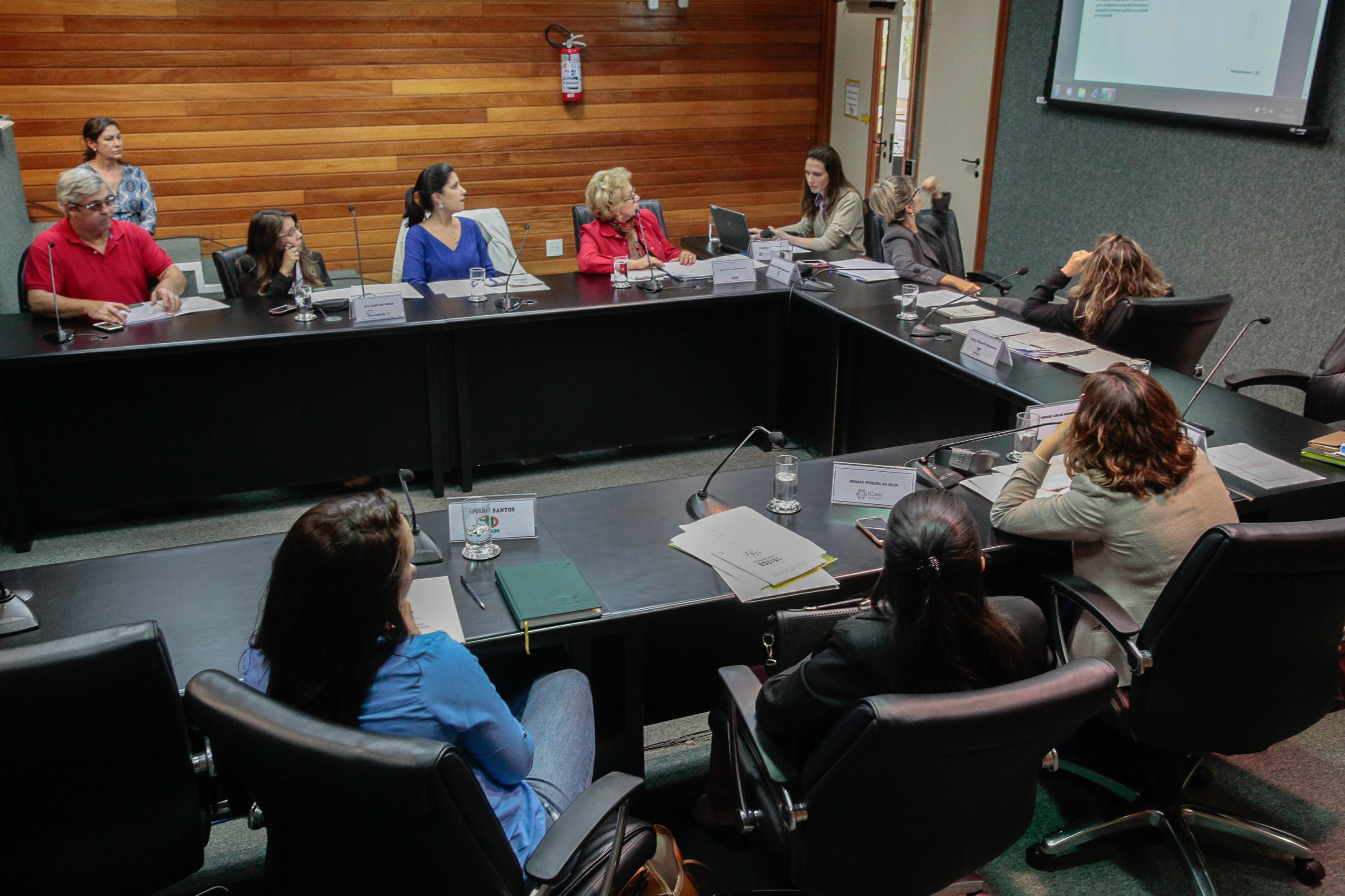 Reunião da Comissão Mista de Certificação de Responsabilidade