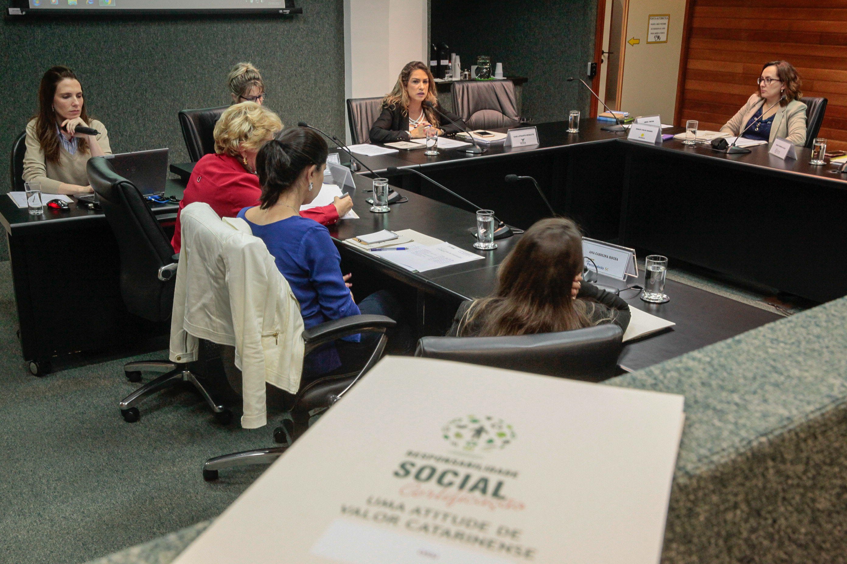 Reunião da Comissão Mista de Certificação de Responsabilidade