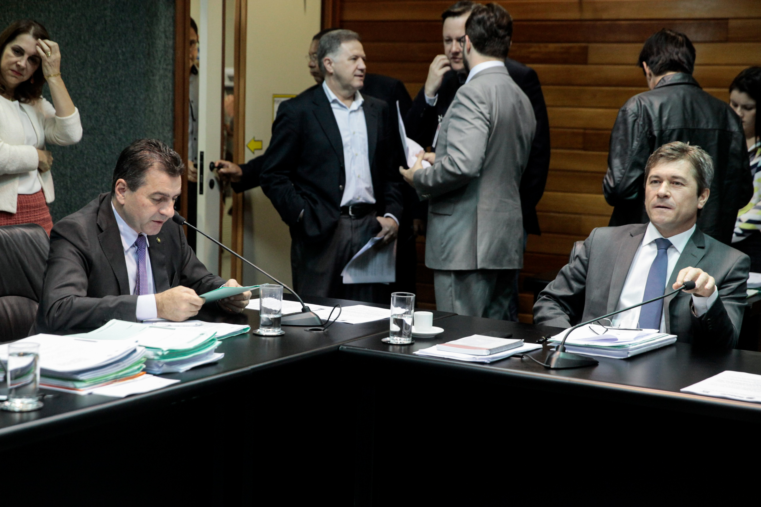 Comissão de Constituição e Justiça.