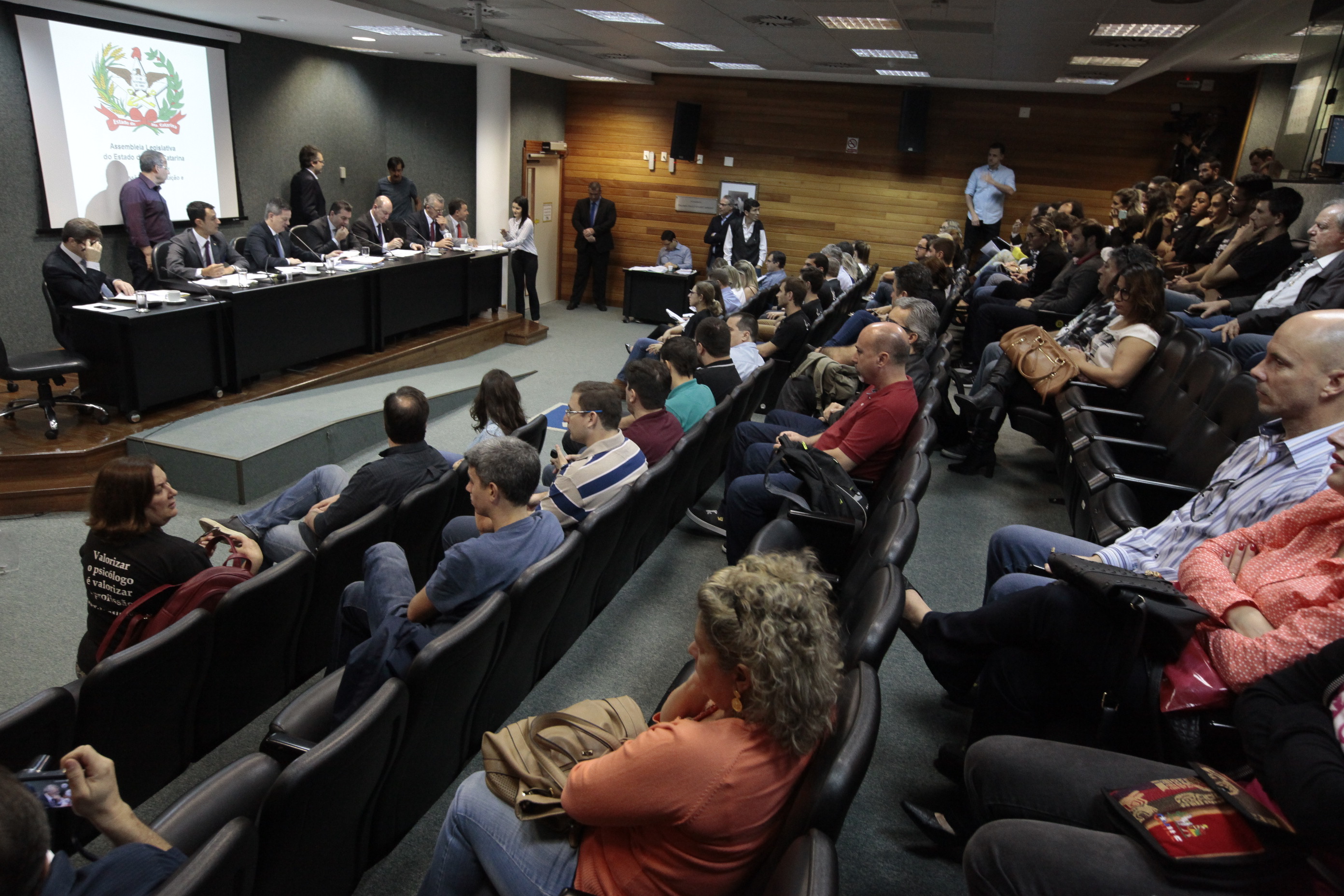 Comissão de Constituição e Justiça.