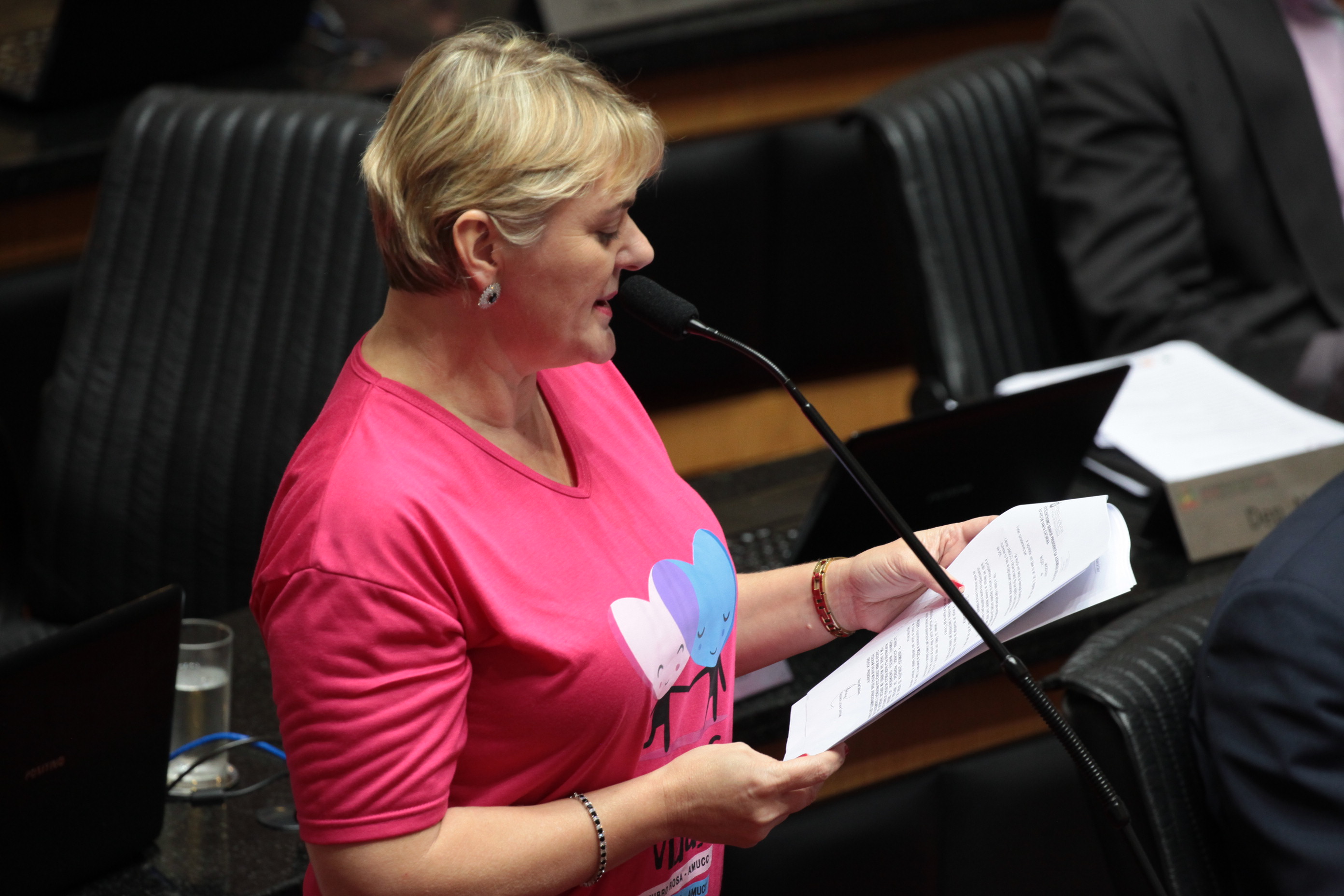 Sessão Ordinária. Deputada Luciane Carminatti (PT)