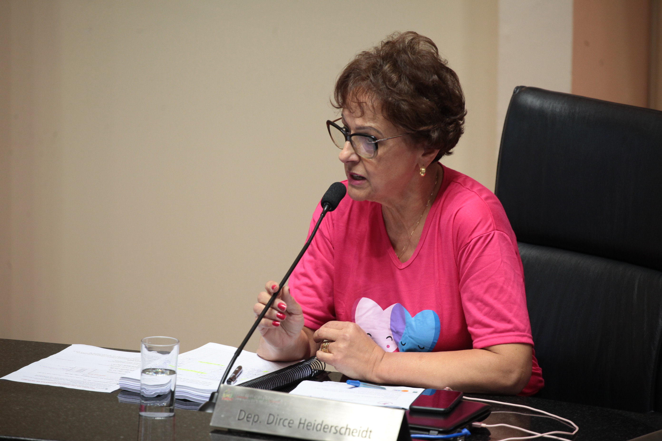 Sessão Ordinária. Deputada Dirce Heiderscheidt (PMDB)
