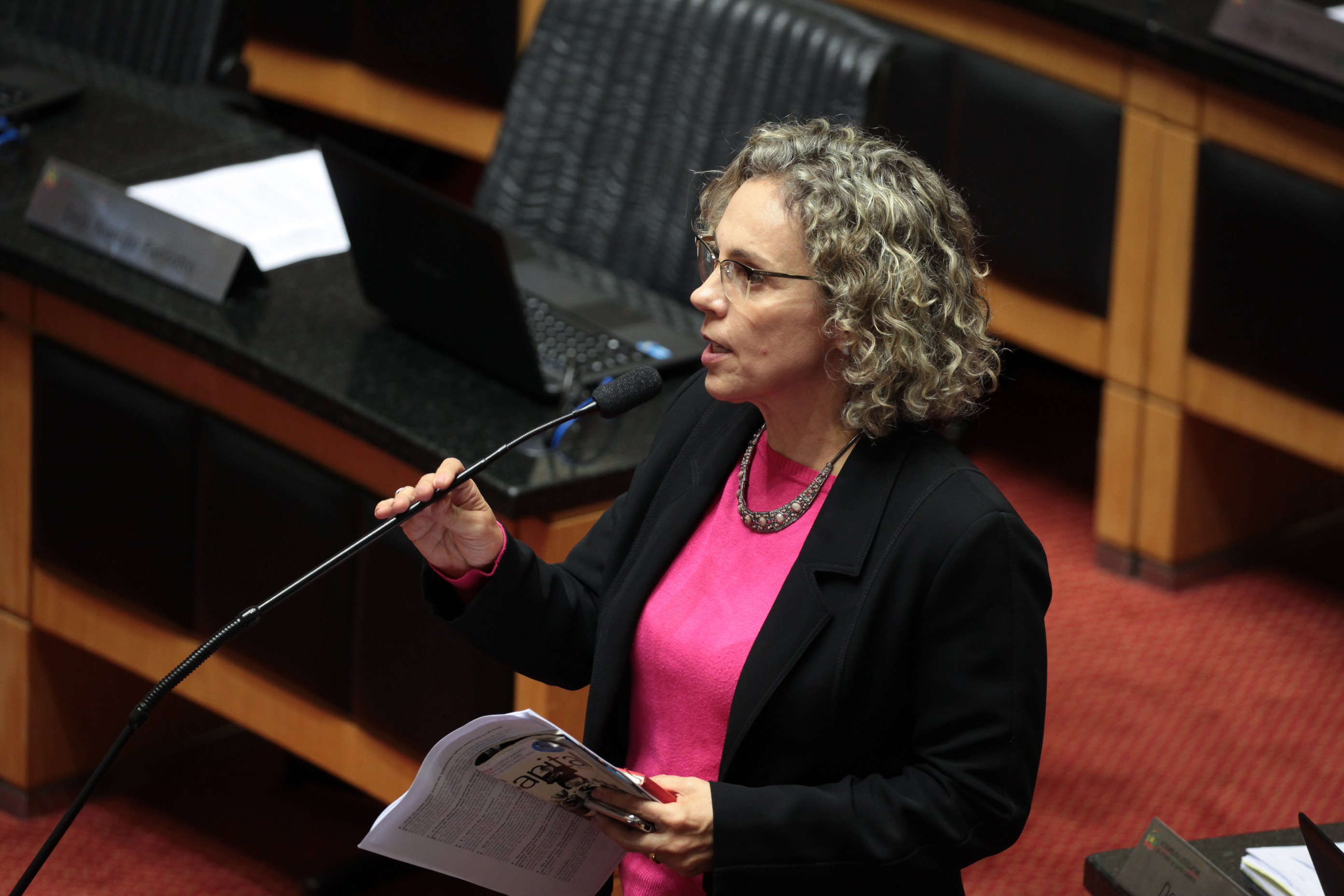 Deputada Ana Paula Lima (PT). Sessão Ordinária.