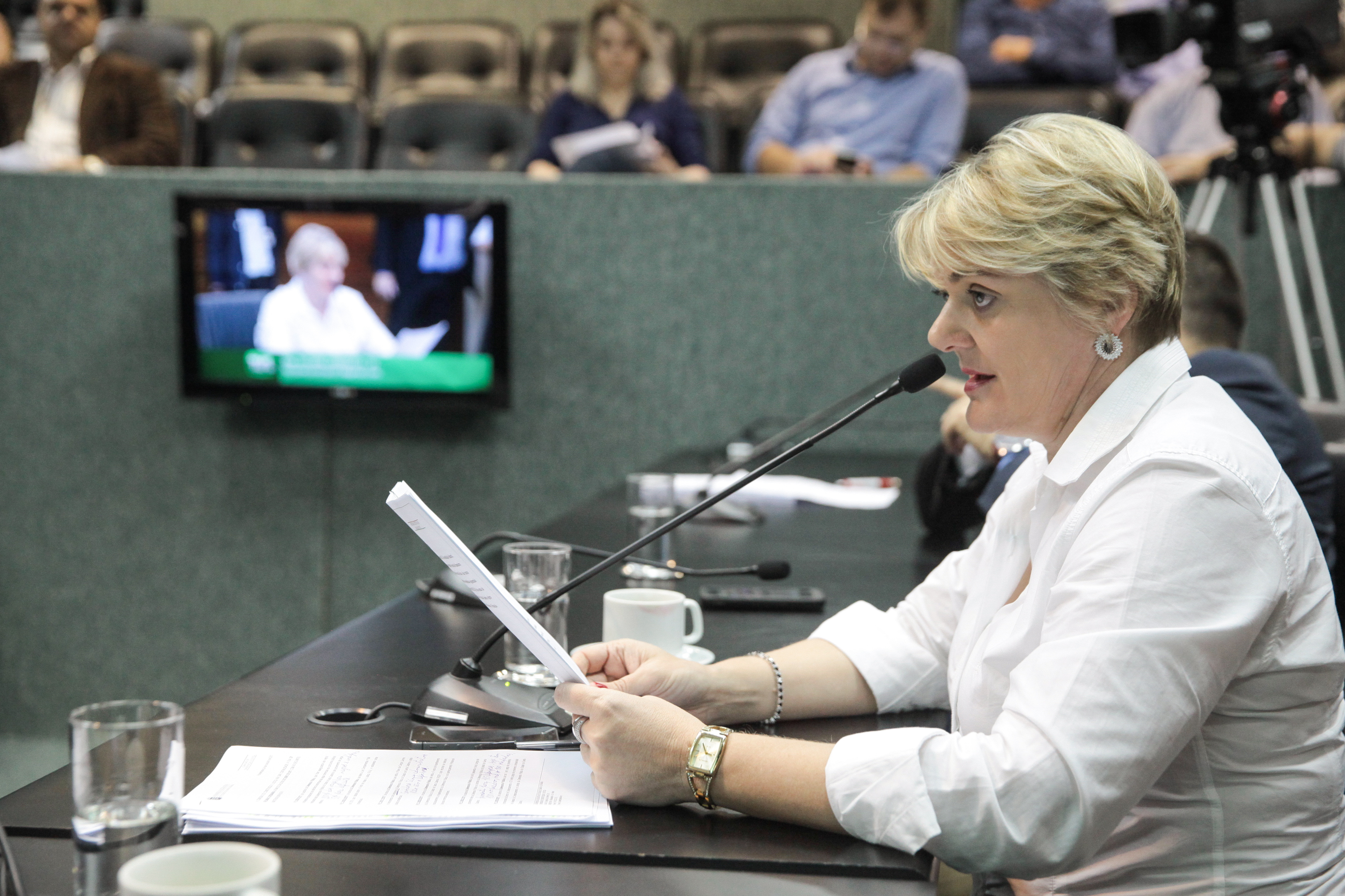Deputada Luciane Carminatti (PT). Comissão de Finanças e Tributação.