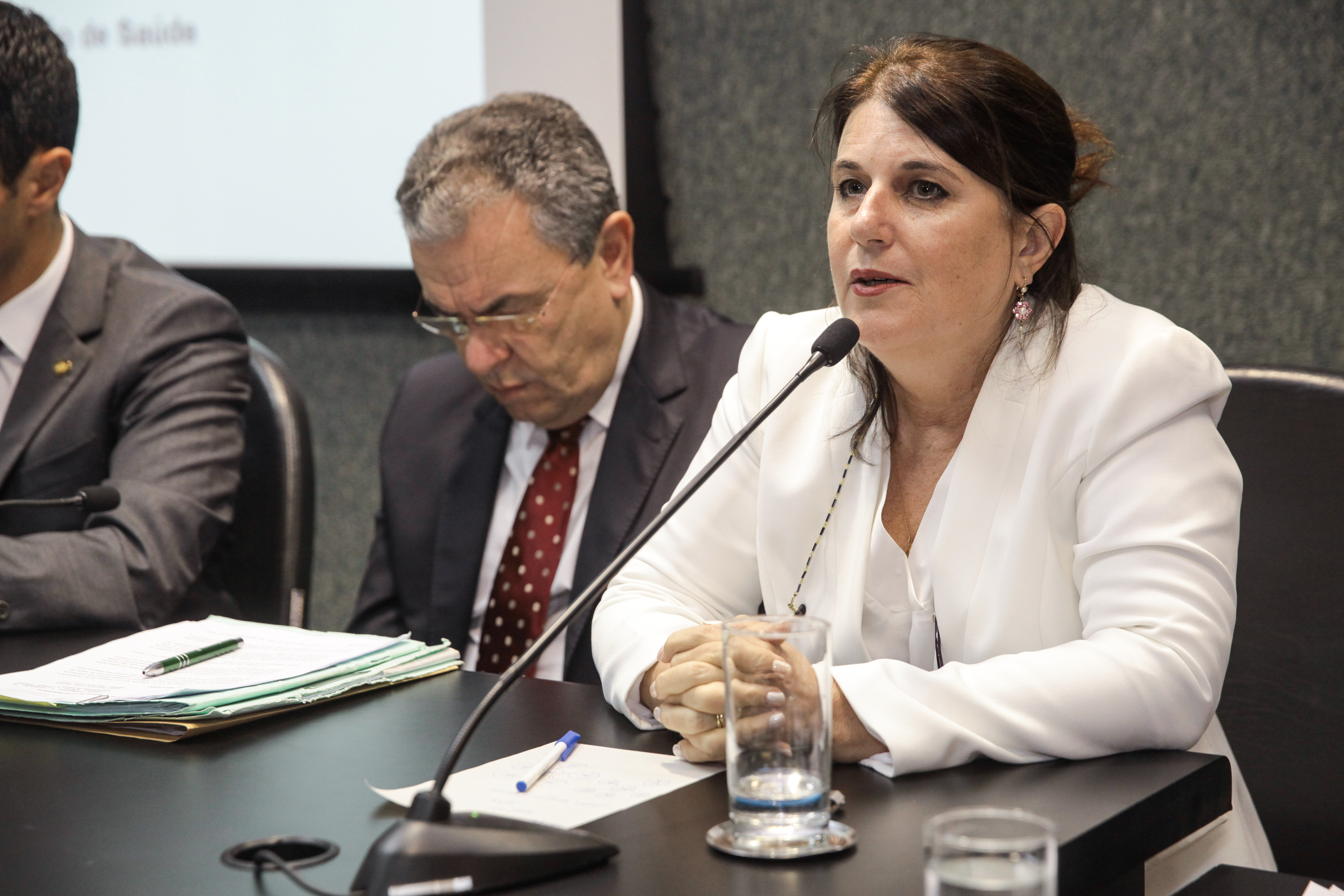 Denise Linhares Gerent, diretora geral do Hemosc. Comissão de Saúde.