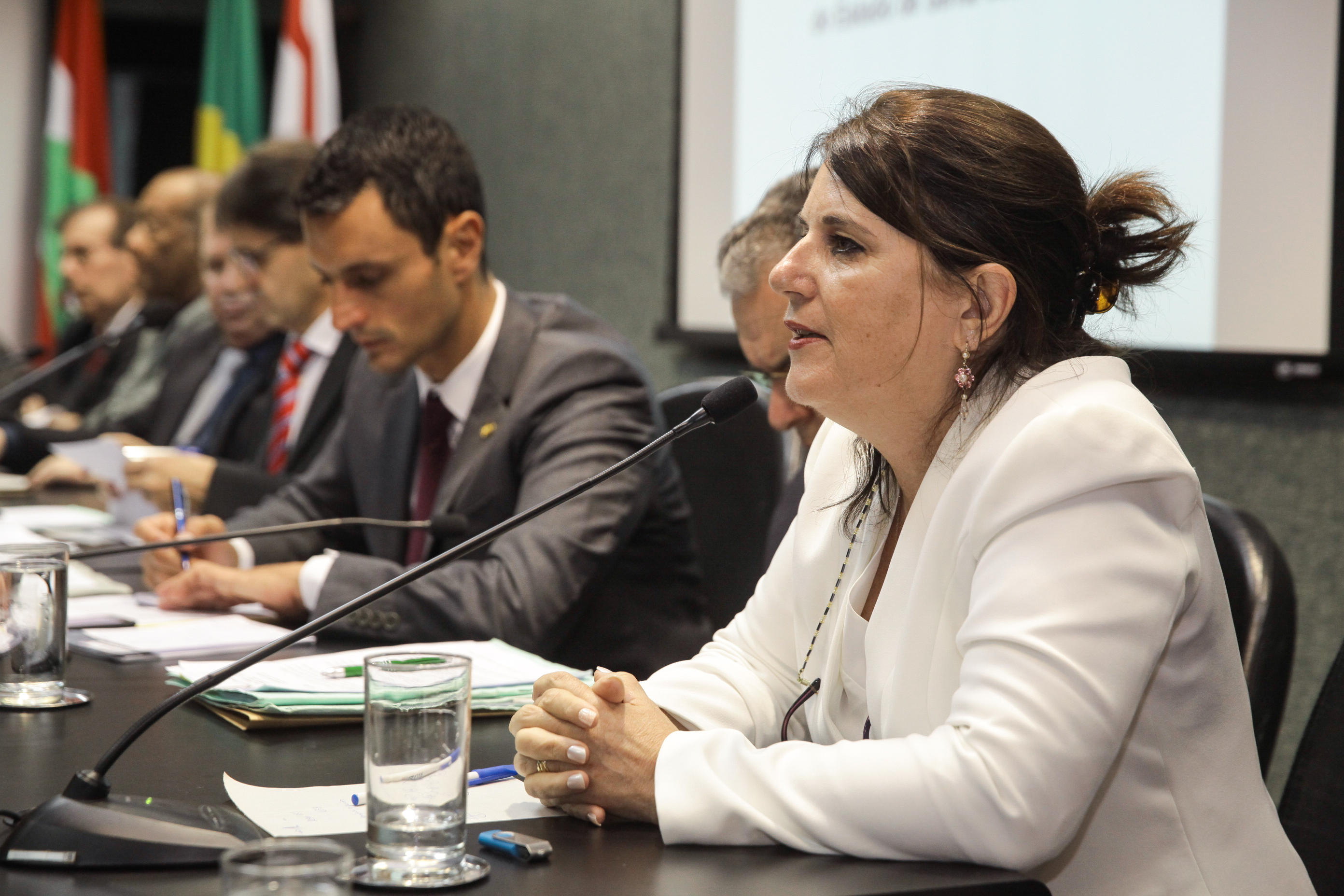 Denise Linhares Gerent, diretora geral do Hemosc. Comissão de Saúde.