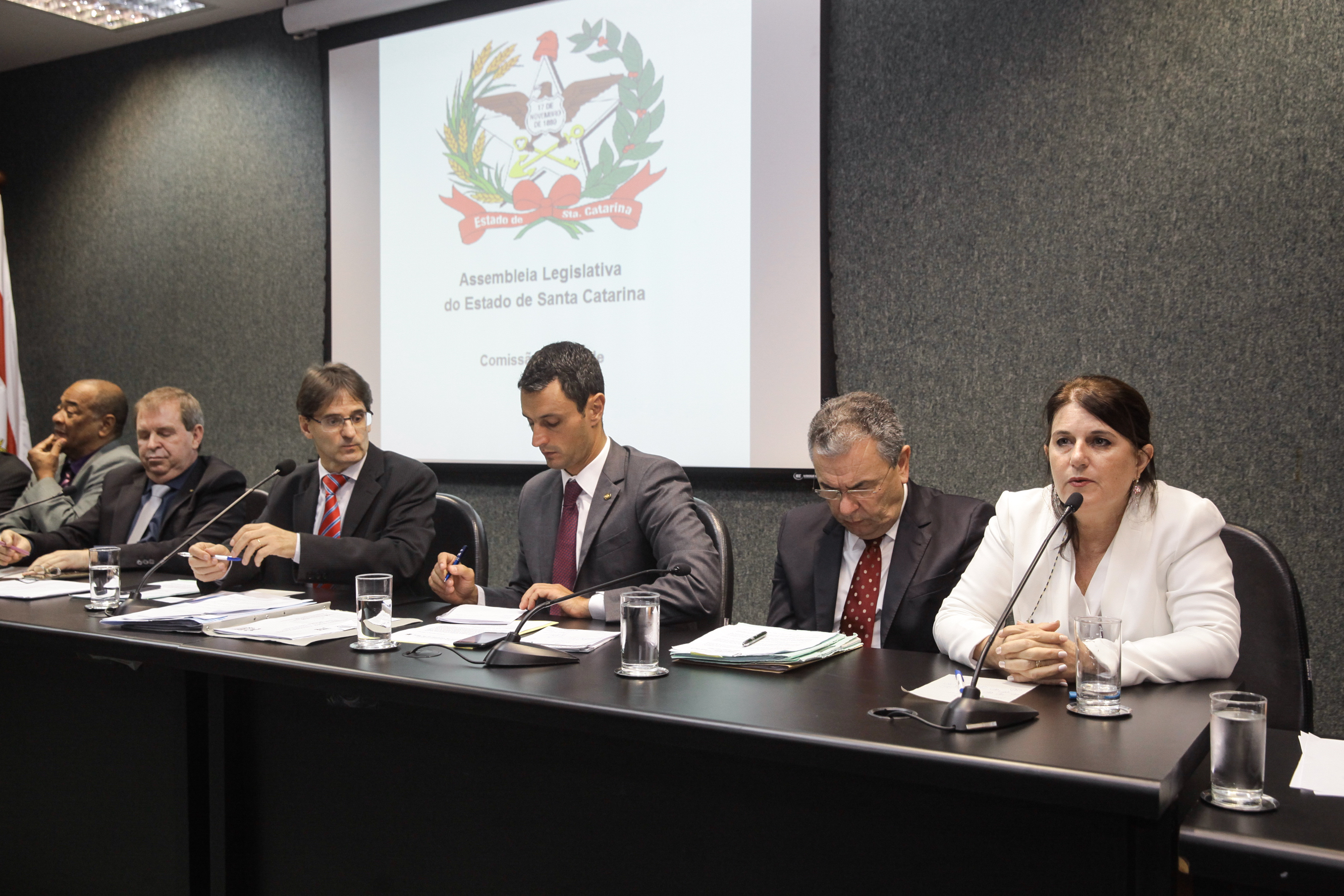 Denise Linhares Gerent, diretora geral do Hemosc. Comissão de Saúde.
