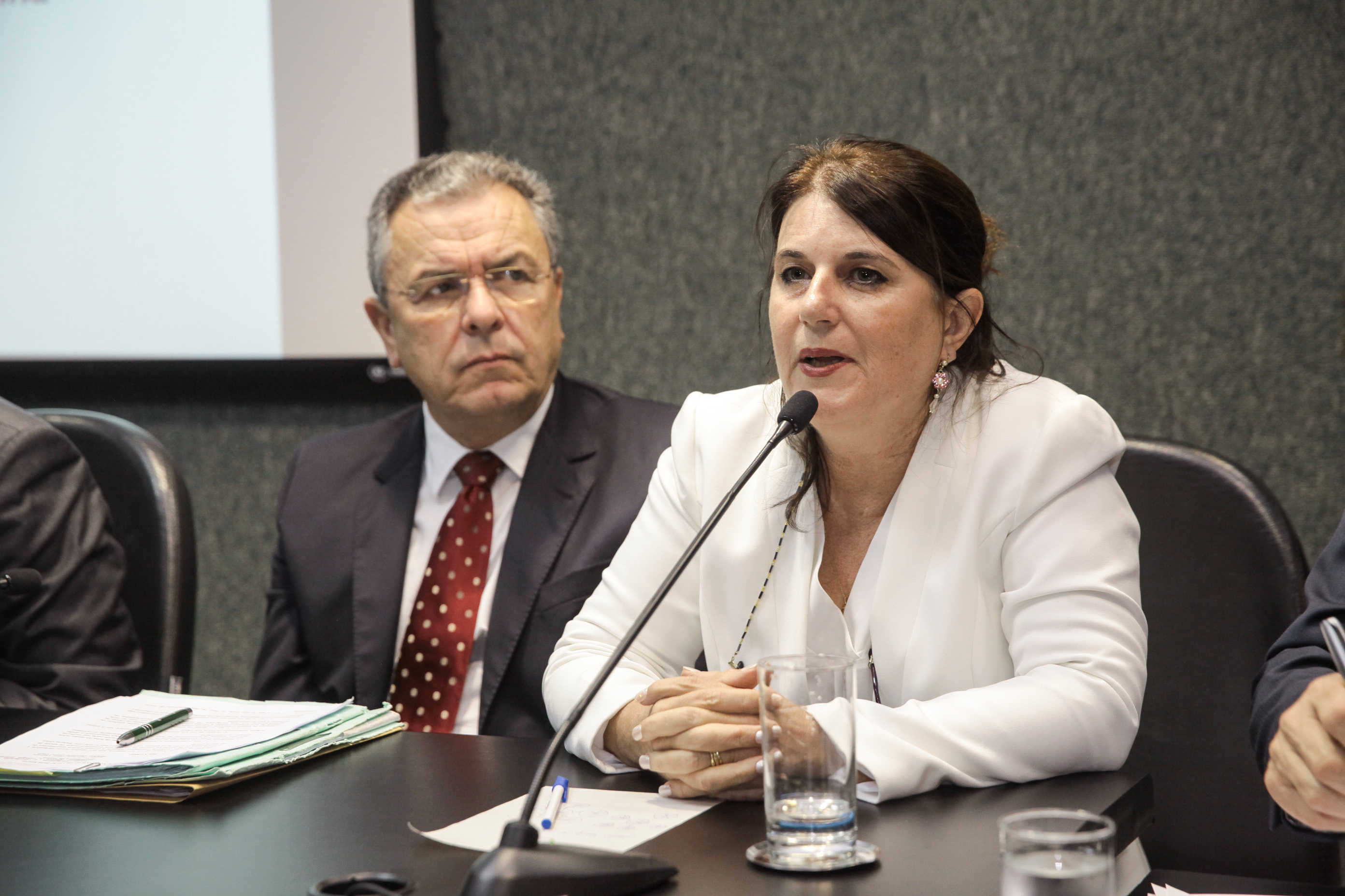 Denise Linhares Gerent, diretora geral do Hemosc. Comissão de Saúde.