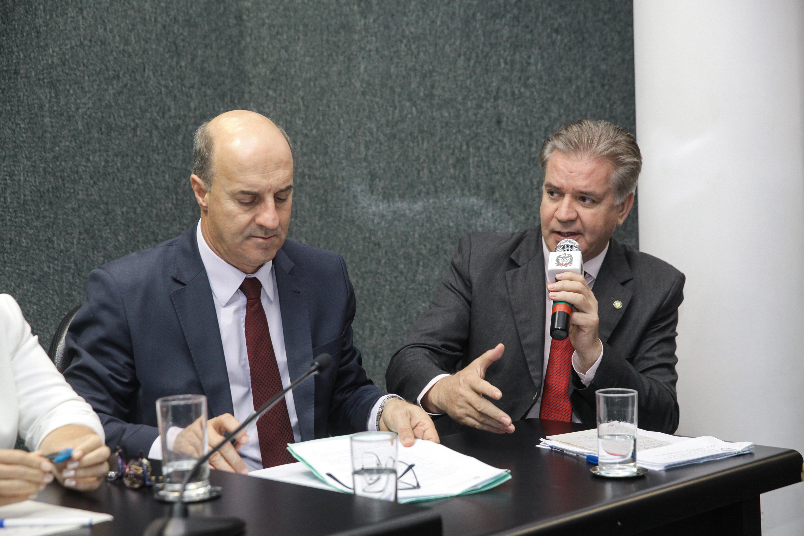 Deputado Cesar Valduga (PCdoB). Comissão de Saúde.