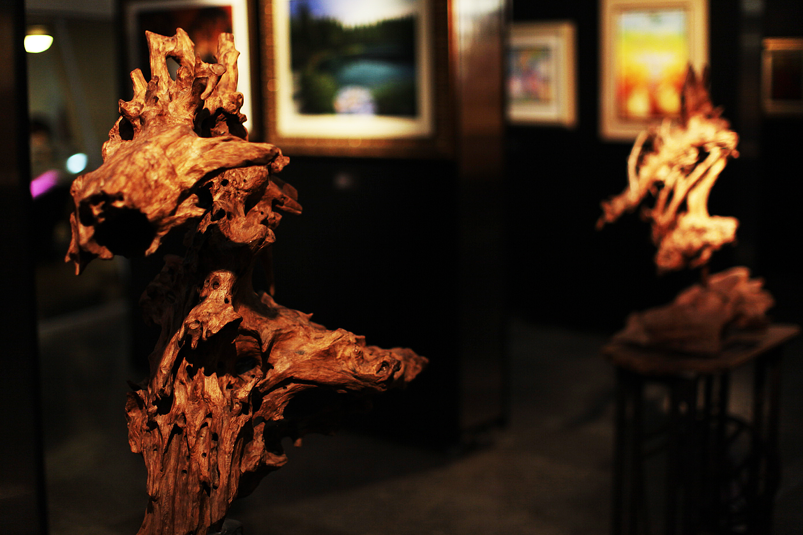 Exposição de Obras do IV Encontro Latinoamericano de Artes e Letras.
