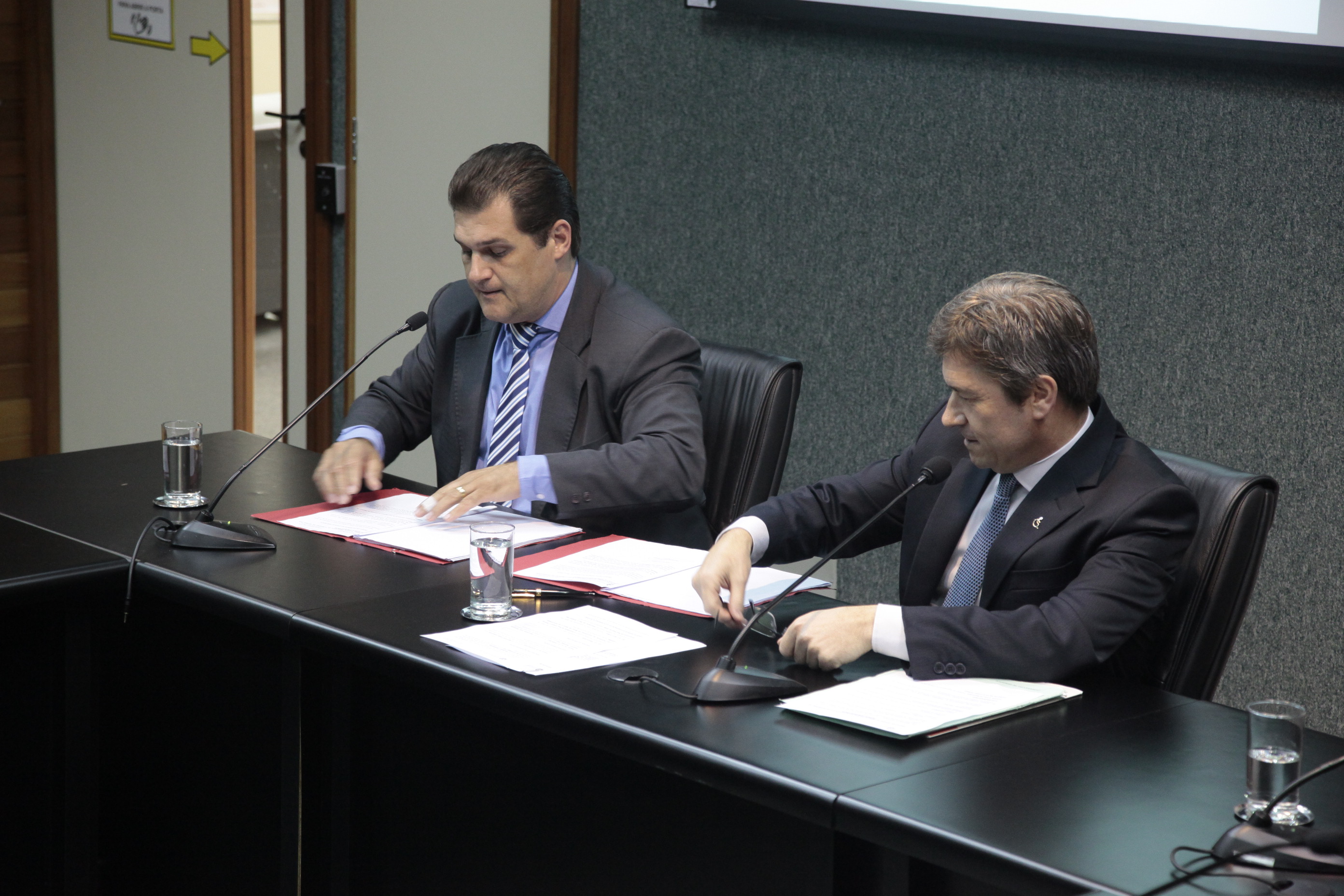 Comissão de Defesa dos Direitos da Pessoa com Deficiência.