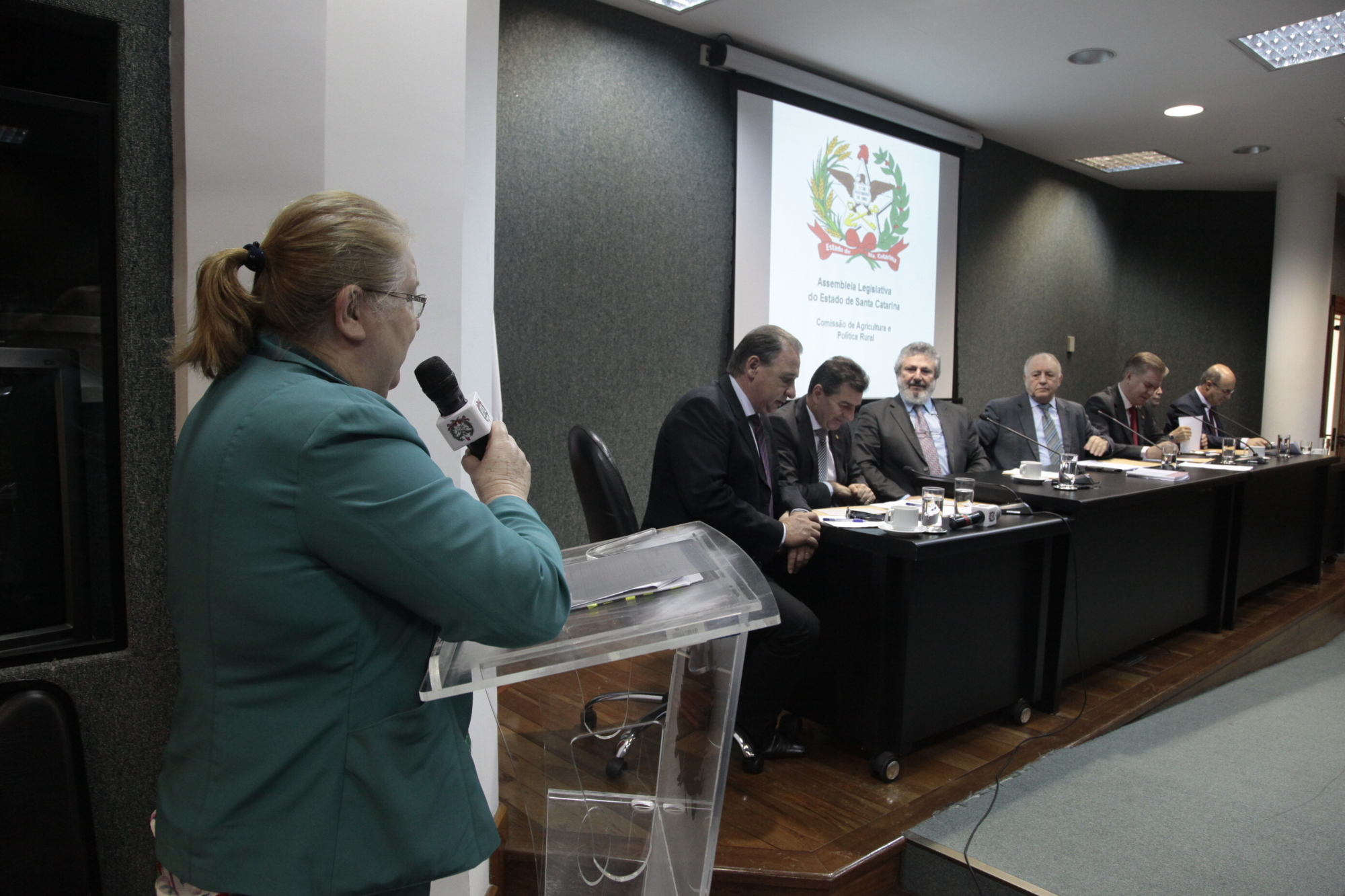 Comissão de Agricultura debate abastecimento de milho em SC