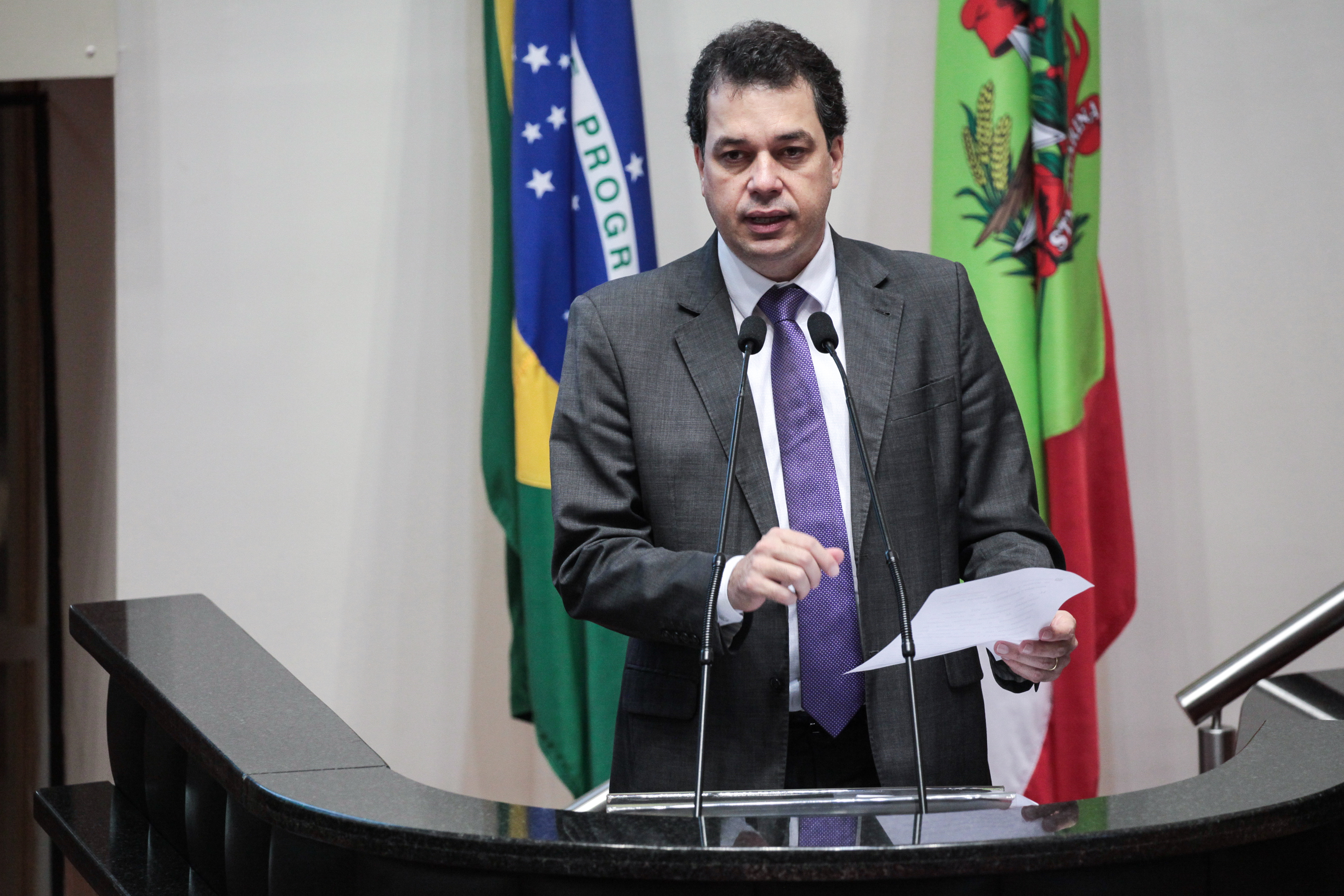 Deputado Rodrigo Minotto (PDT). Sessão Ordinária.