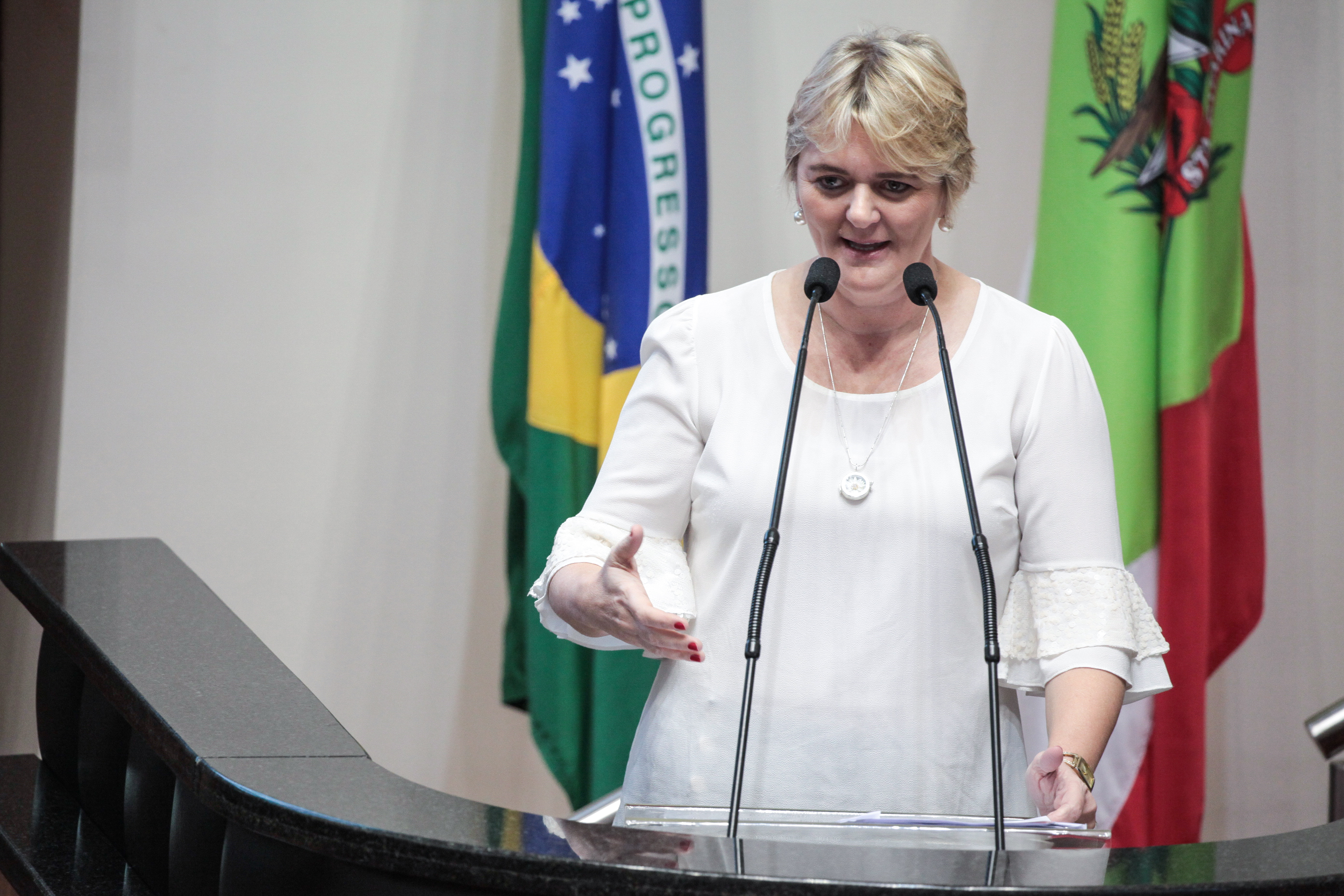 Deputada Luciane Carminatti (PT). Sessão Ordinária.