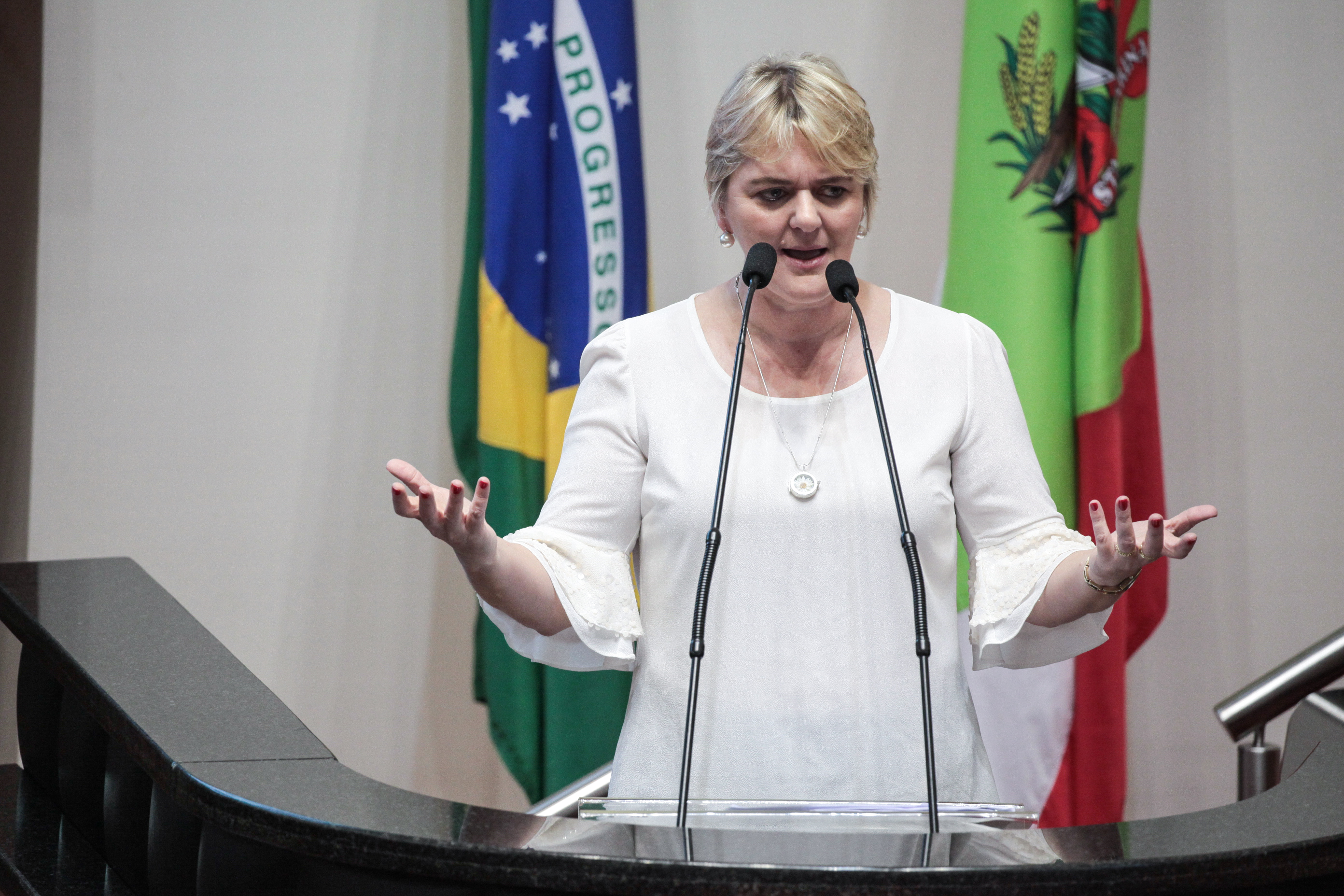 Deputada Luciane Carminatti (PT). Sessão Ordinária.