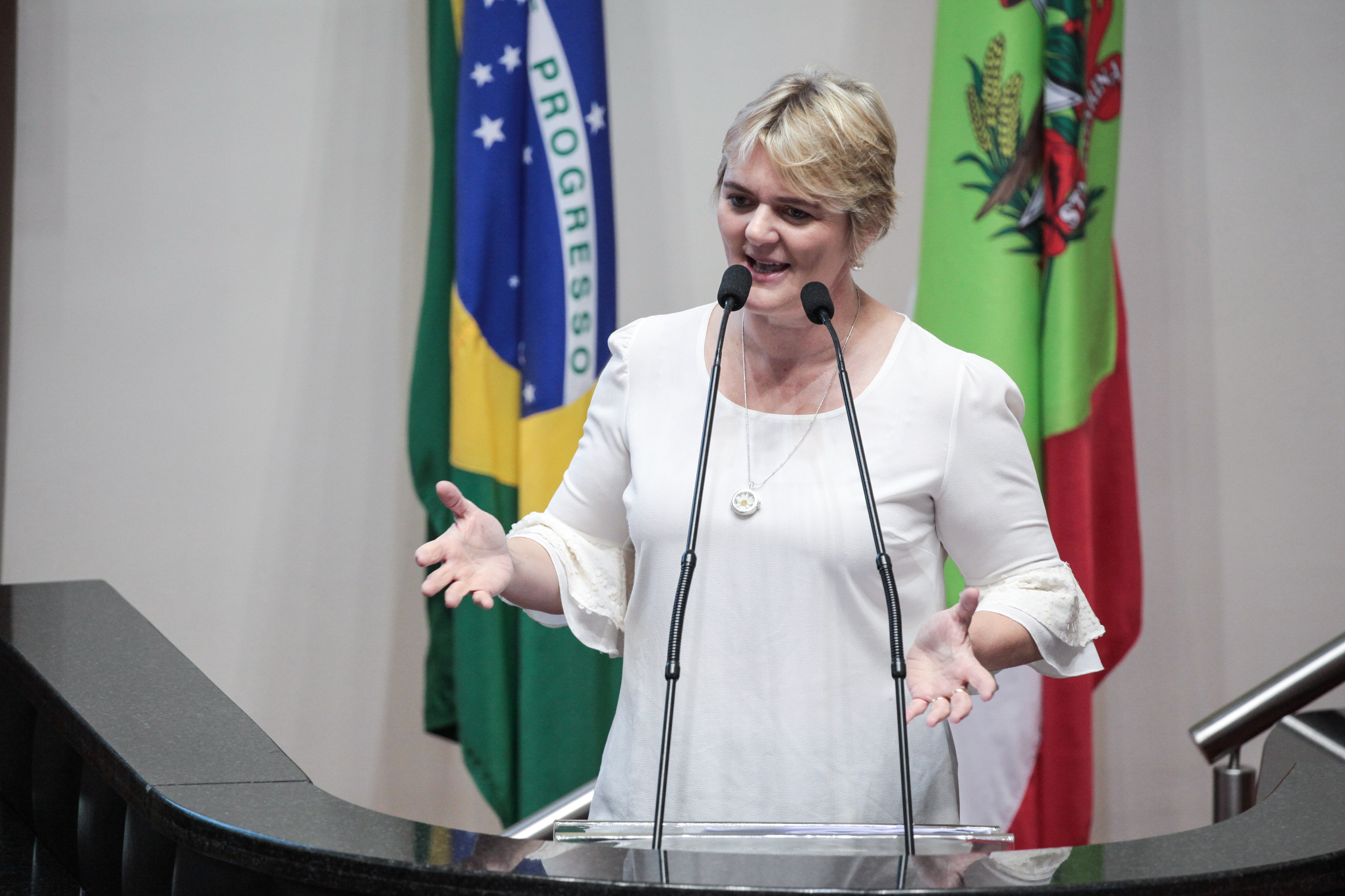 Deputada Luciane Carminatti (PT). Sessão Ordinária.
