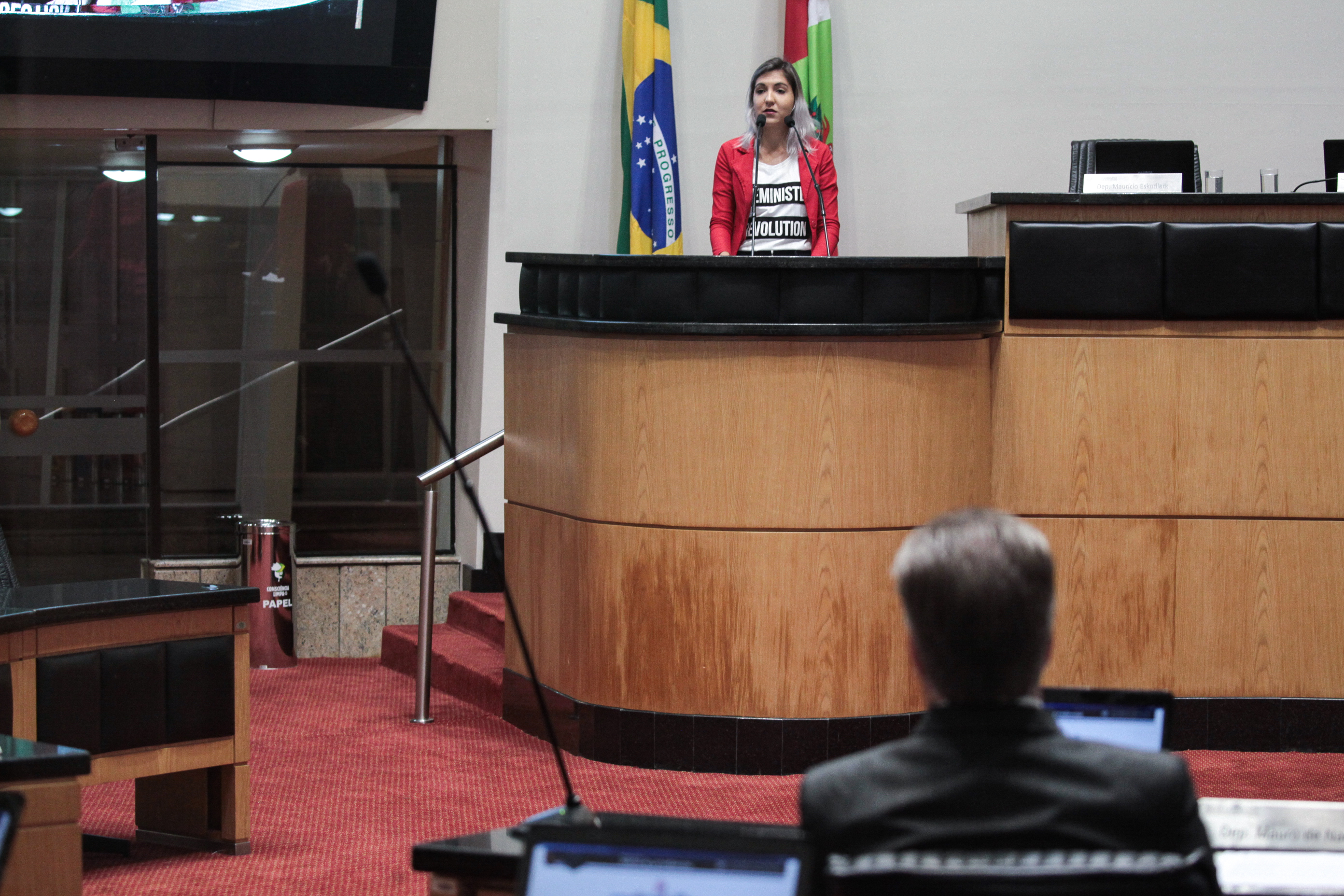 Carol Listone - Presidenta do CDMD de Chapecó. Sessão Ordinária.