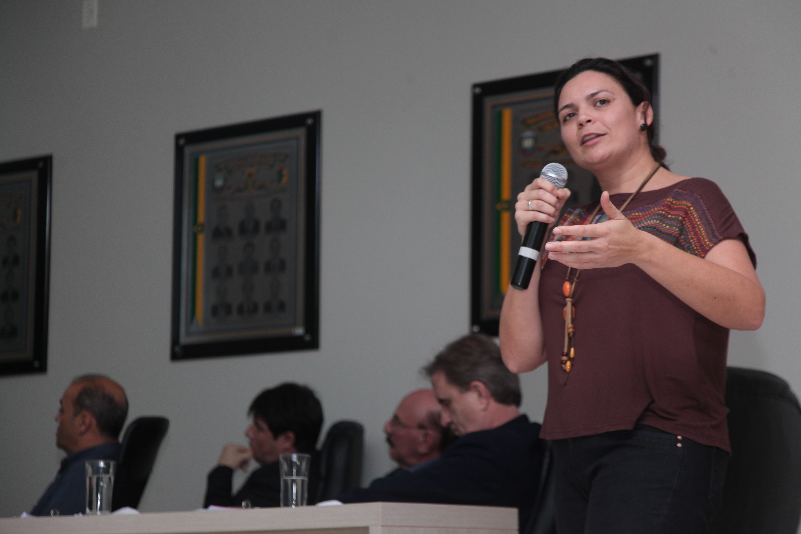 Comissão de Direitos Humanos promove Audiência Pública para discutir a criação do Geoparque de Praia Grande.