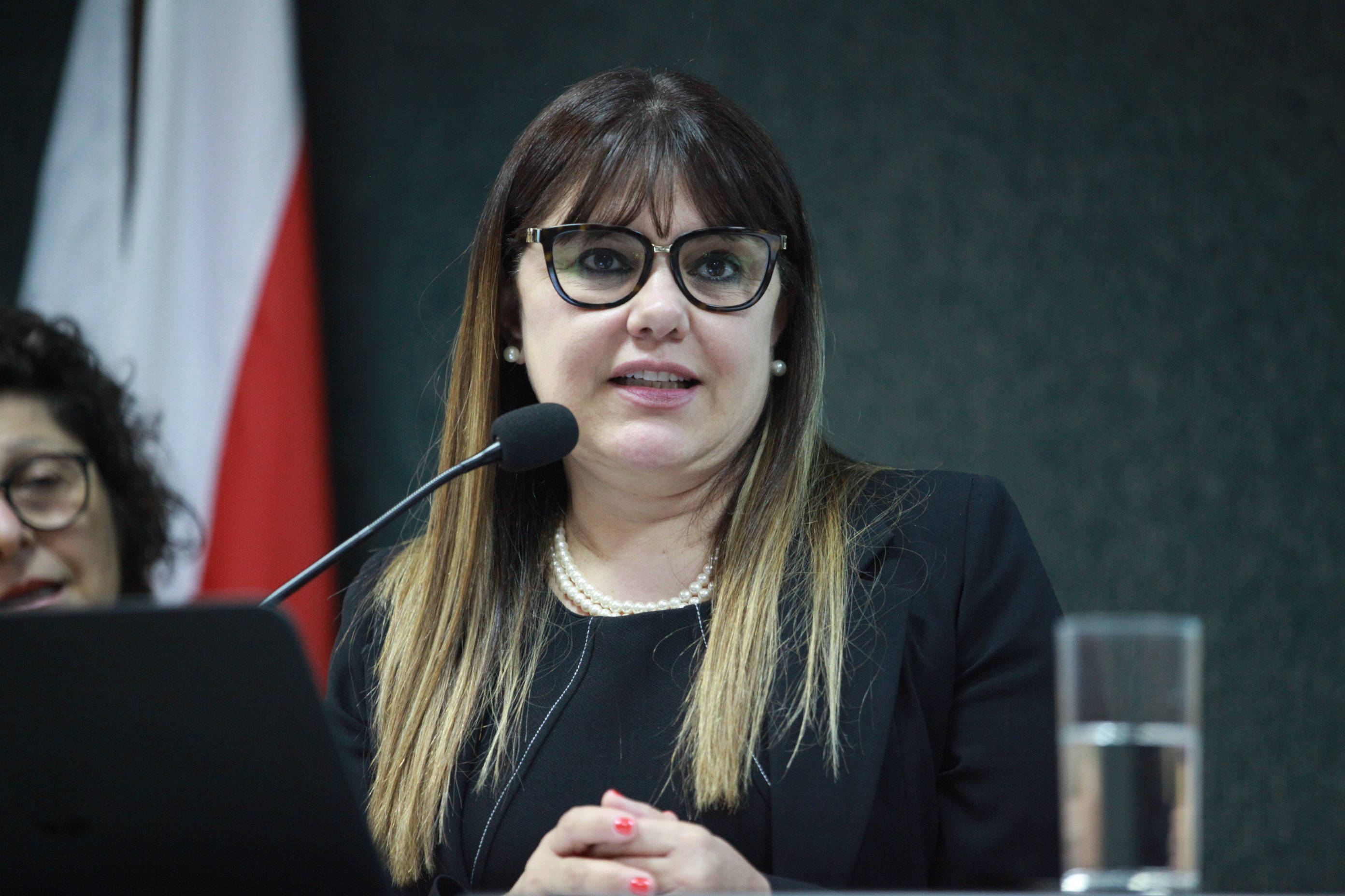 Audiência Pública - Tráfico Humano e Desaparecimento de Pessoas - Sívia Cristina Xavier