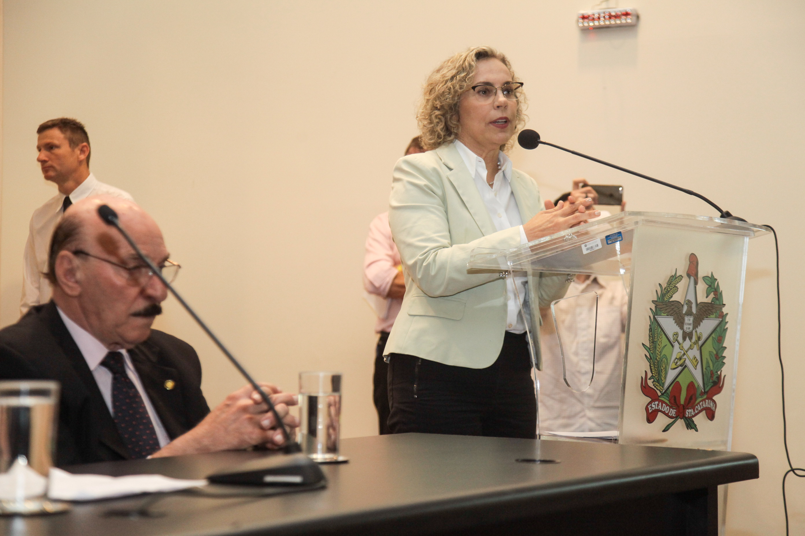 Audiência Pública Sobre a Prática da Enfermagem na Atenção Básica de Saúde.