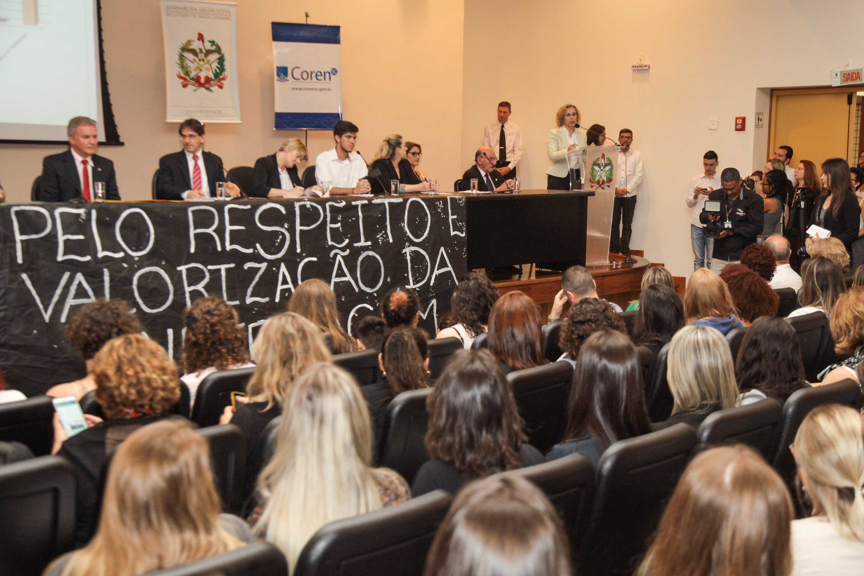 Audiência Pública Sobre a Prática da Enfermagem na Atenção Básica de Saúde.