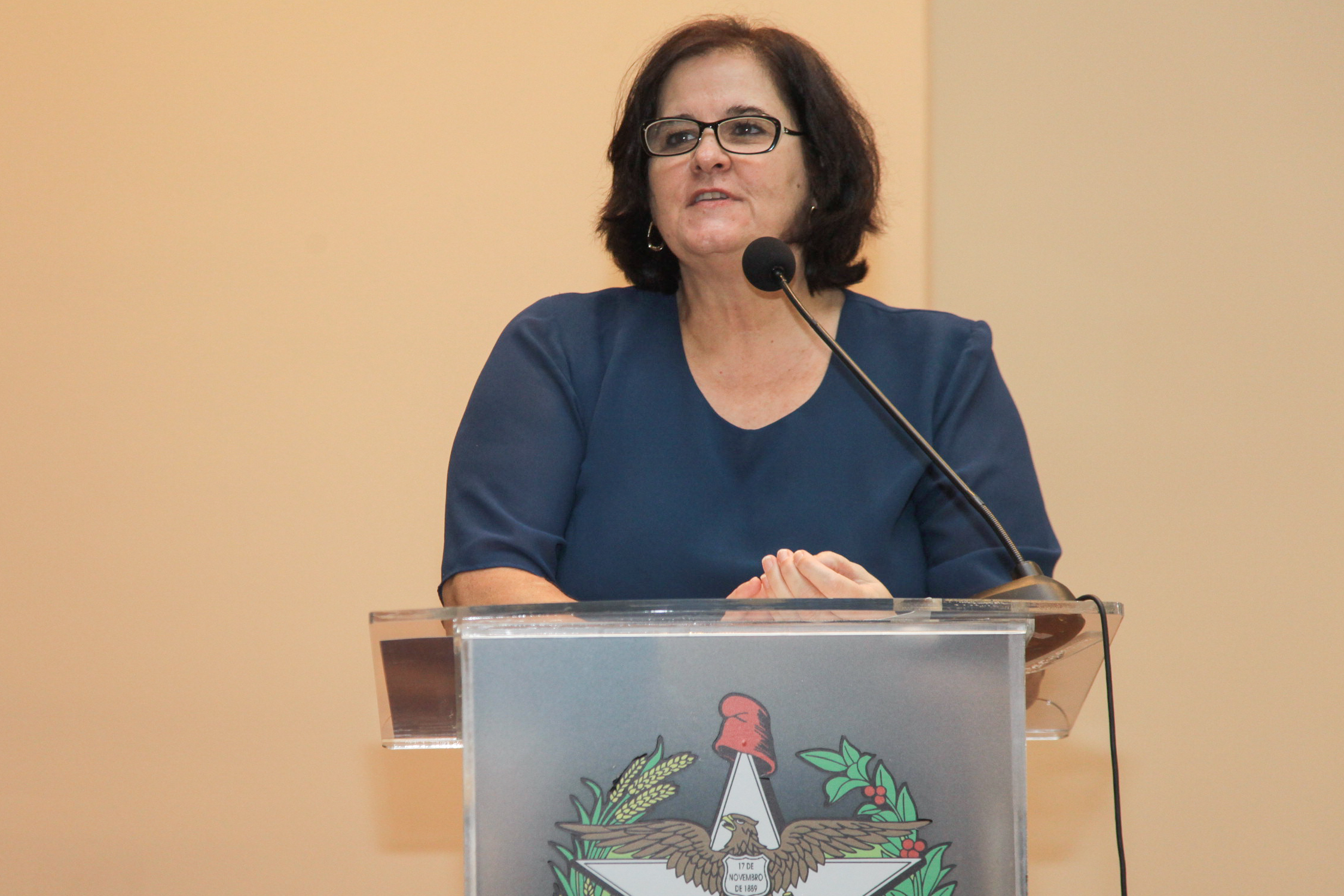 Audiência Pública Sobre a Prática da Enfermagem na Atenção Básica de Saúde.