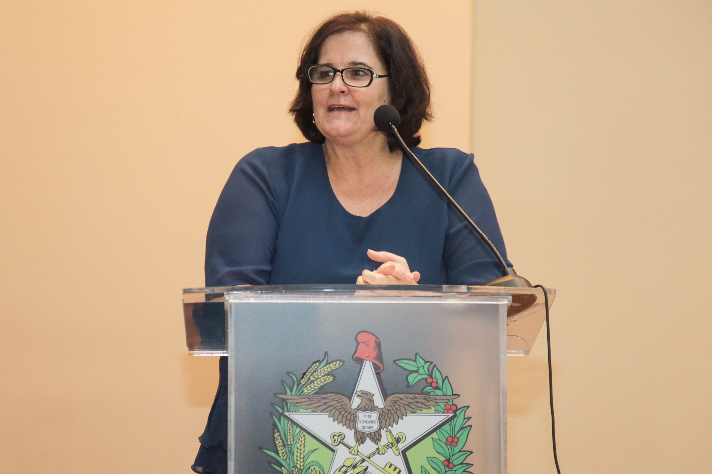 Audiência Pública Sobre a Prática da Enfermagem na Atenção Básica de Saúde.