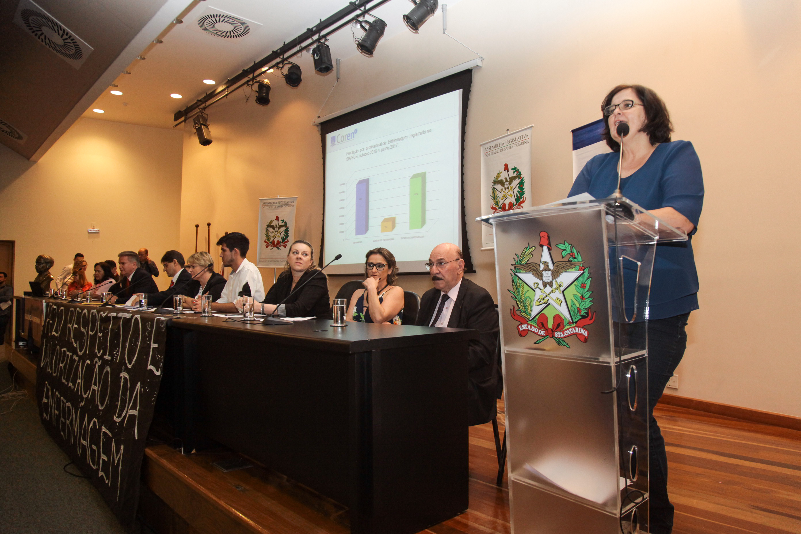 Audiência Pública Sobre a Prática da Enfermagem na Atenção Básica de Saúde.