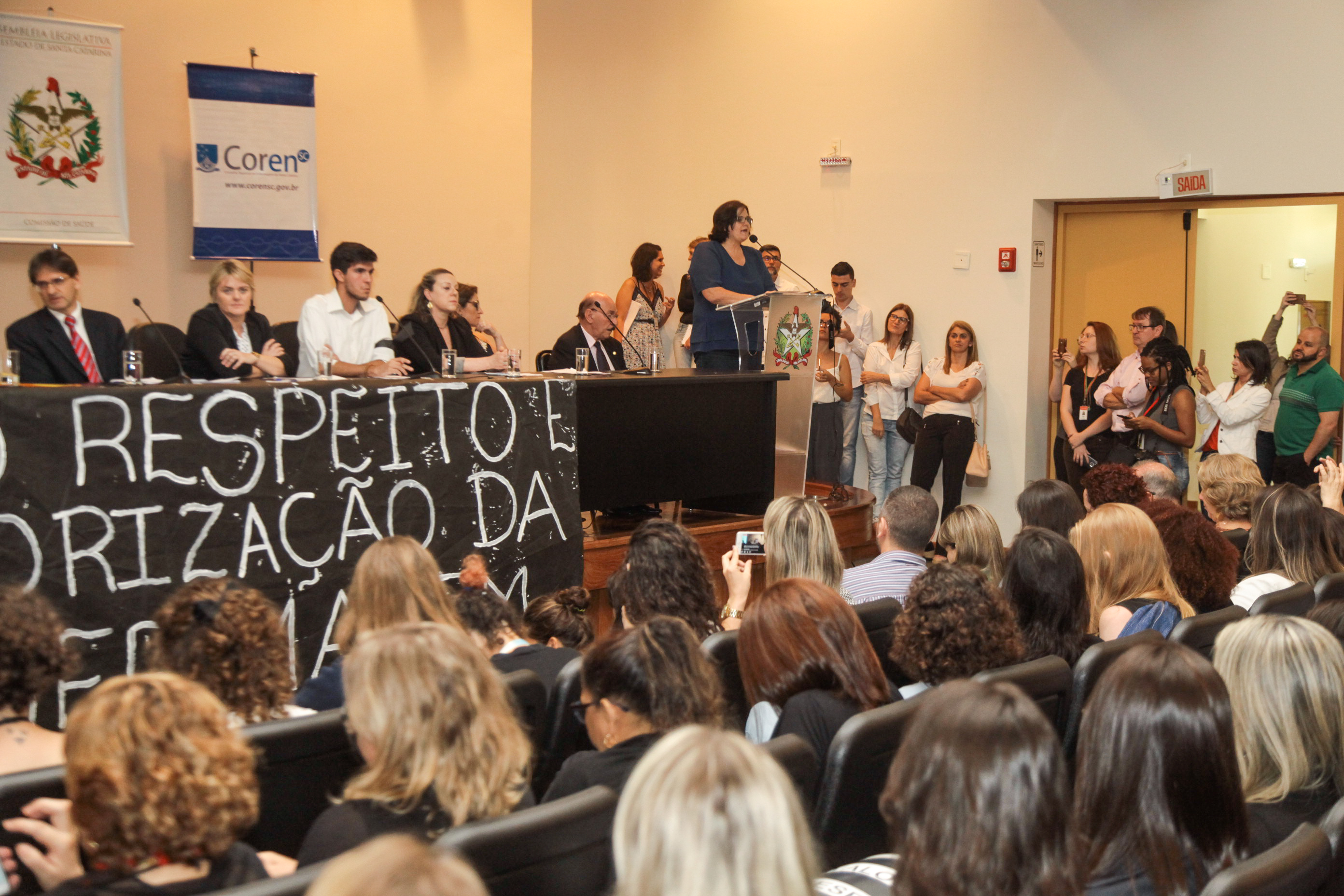 Audiência Pública Sobre a Prática da Enfermagem na Atenção Básica de Saúde.