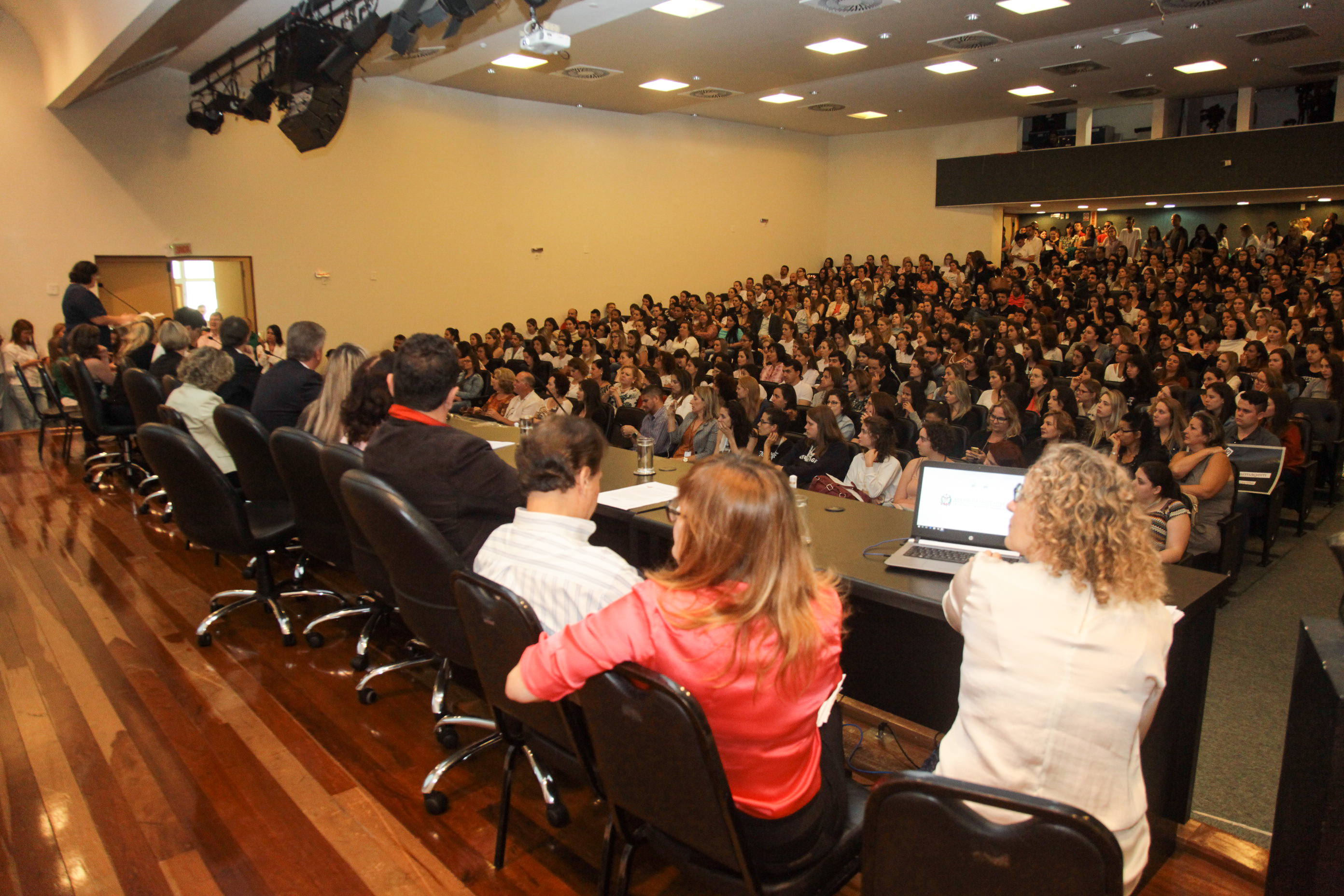 Audiência Pública Sobre a Prática da Enfermagem na Atenção Básica de Saúde.
