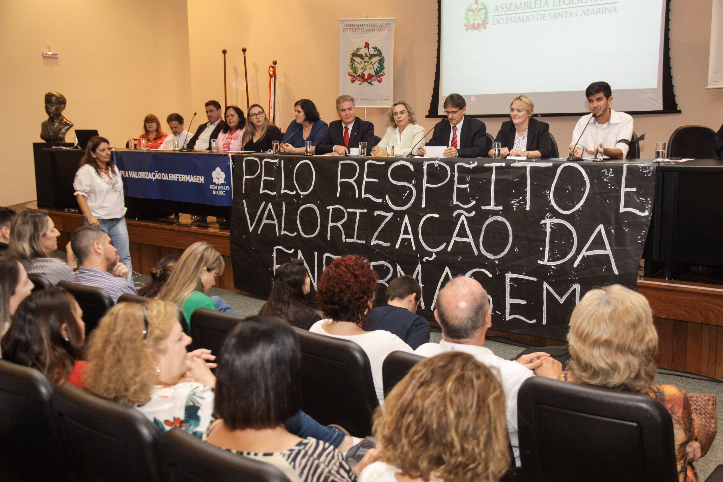 Audiência Pública Sobre a Prática da Enfermagem na Atenção Básica de Saúde.