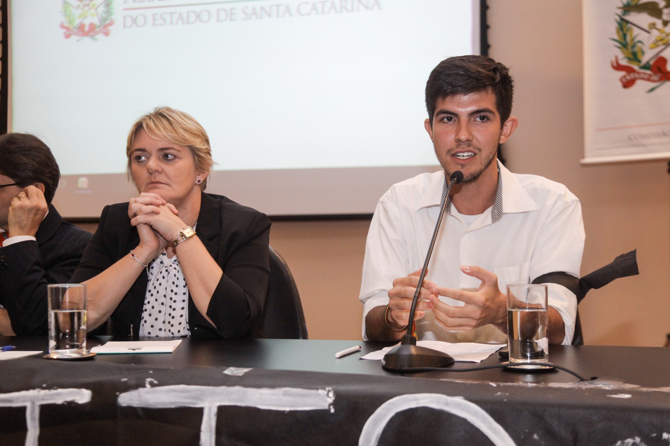 Audiência Pública Sobre a Prática da Enfermagem na Atenção Básica de Saúde.
