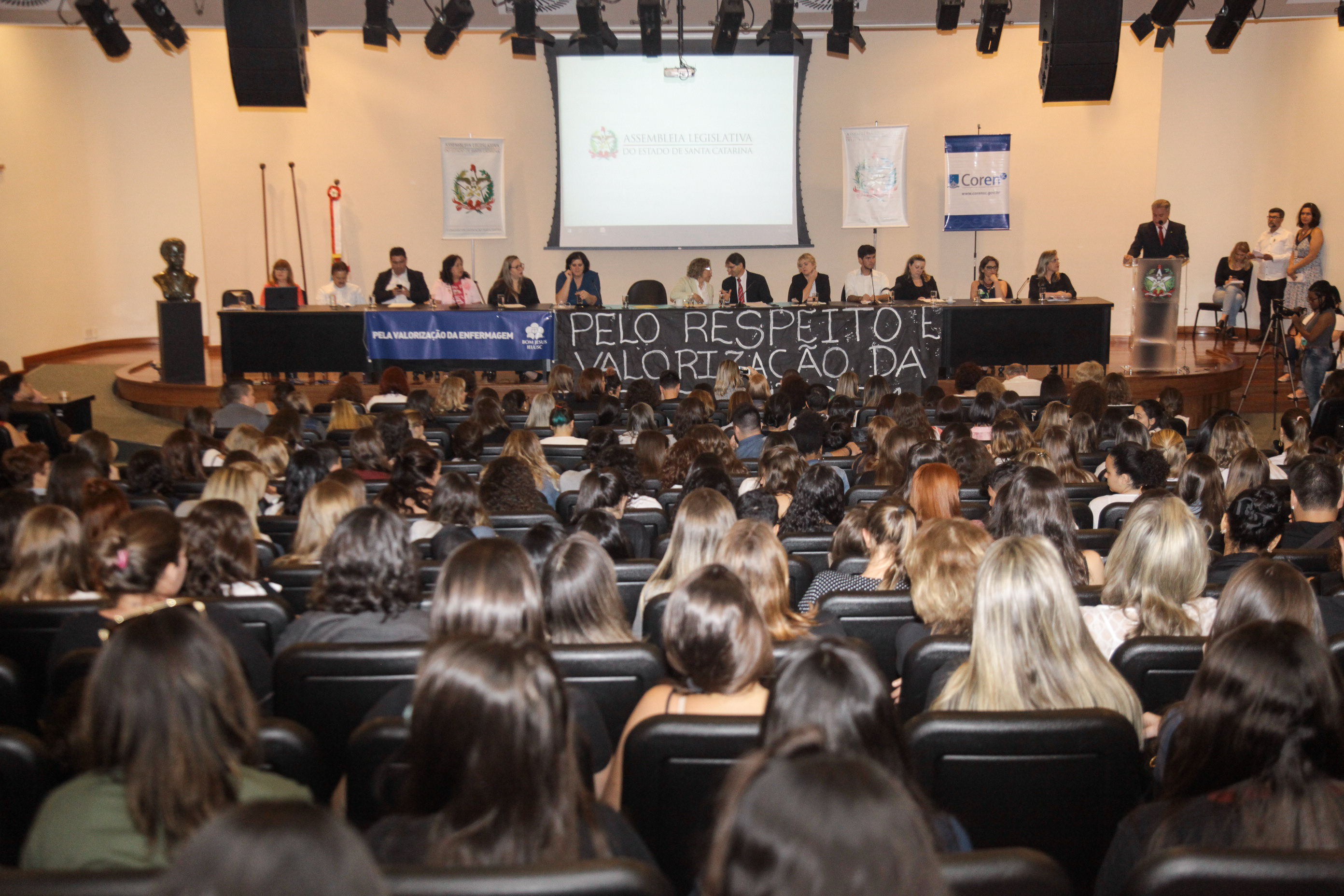 Audiência Pública Sobre a Prática da Enfermagem na Atenção Básica de Saúde.