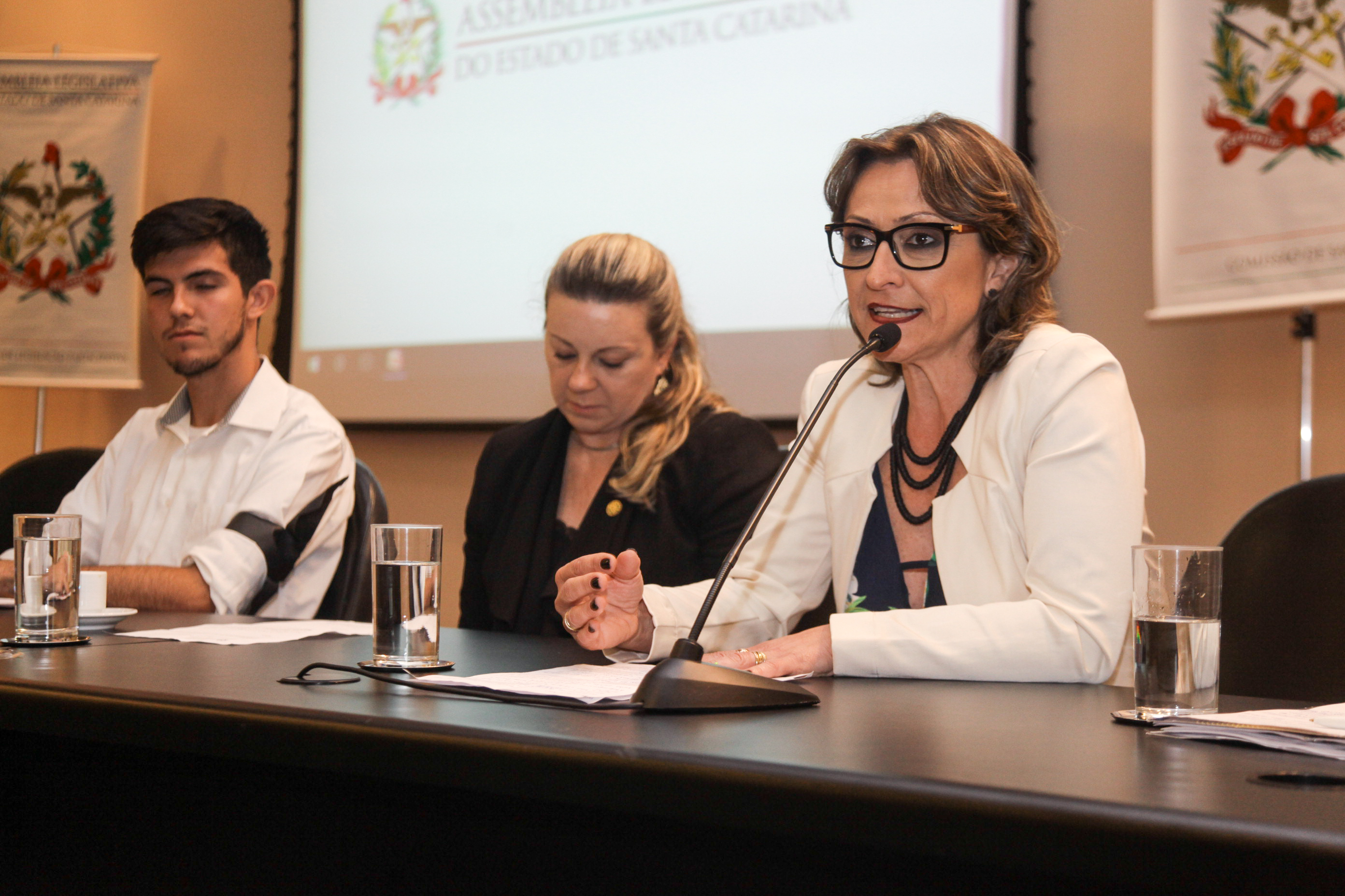 Audiência Pública Sobre a Prática da Enfermagem na Atenção Básica de Saúde.