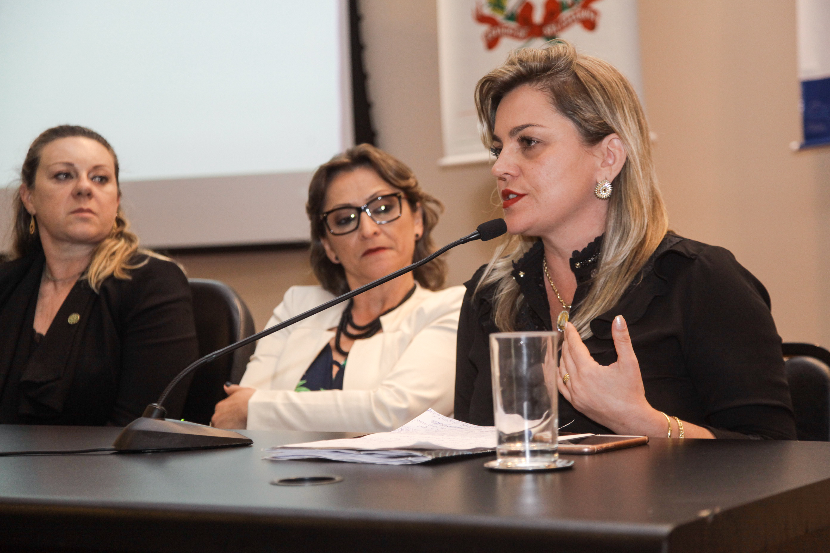 Audiência Pública Sobre a Prática da Enfermagem na Atenção Básica de Saúde.