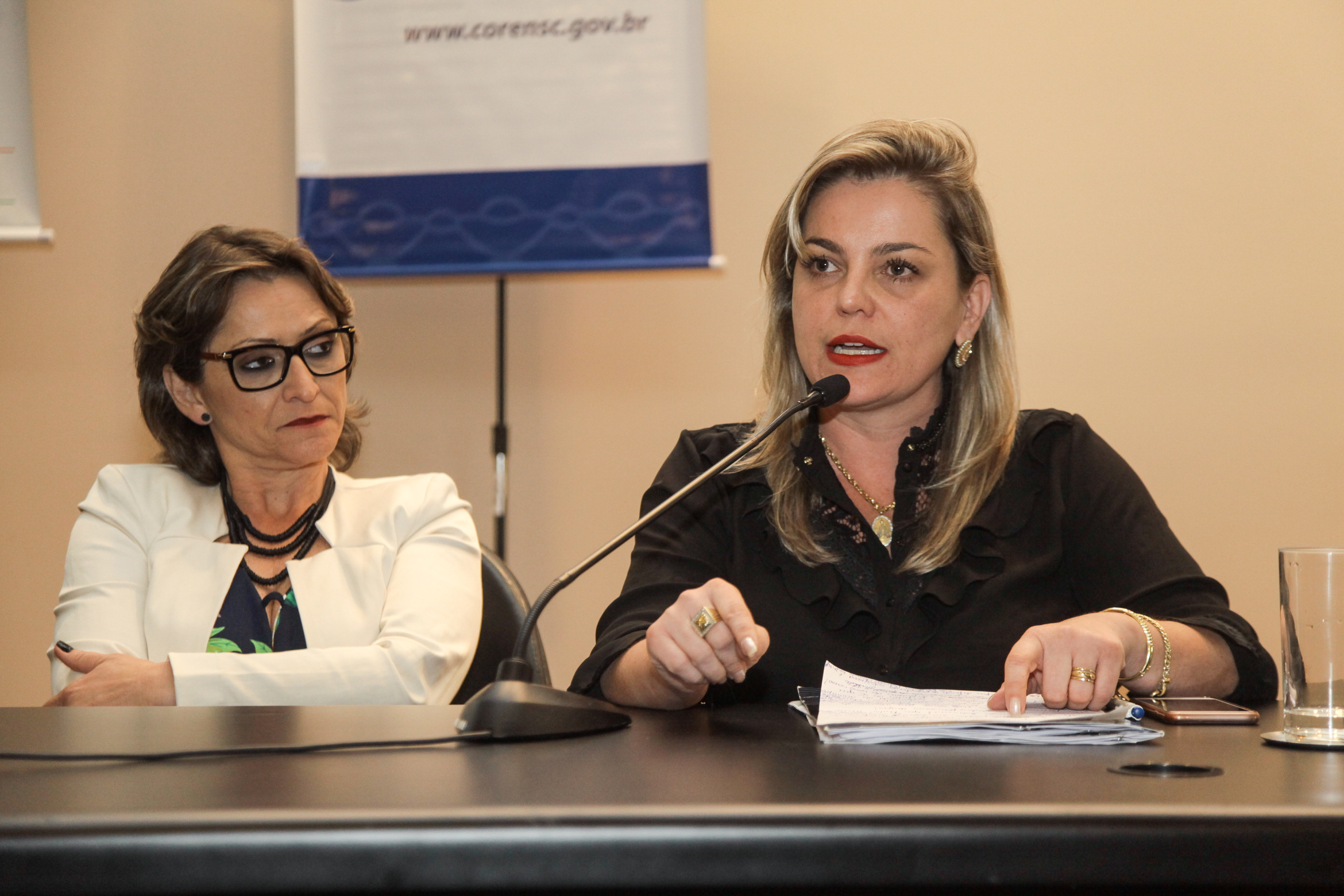 Audiência Pública Sobre a Prática da Enfermagem na Atenção Básica de Saúde.