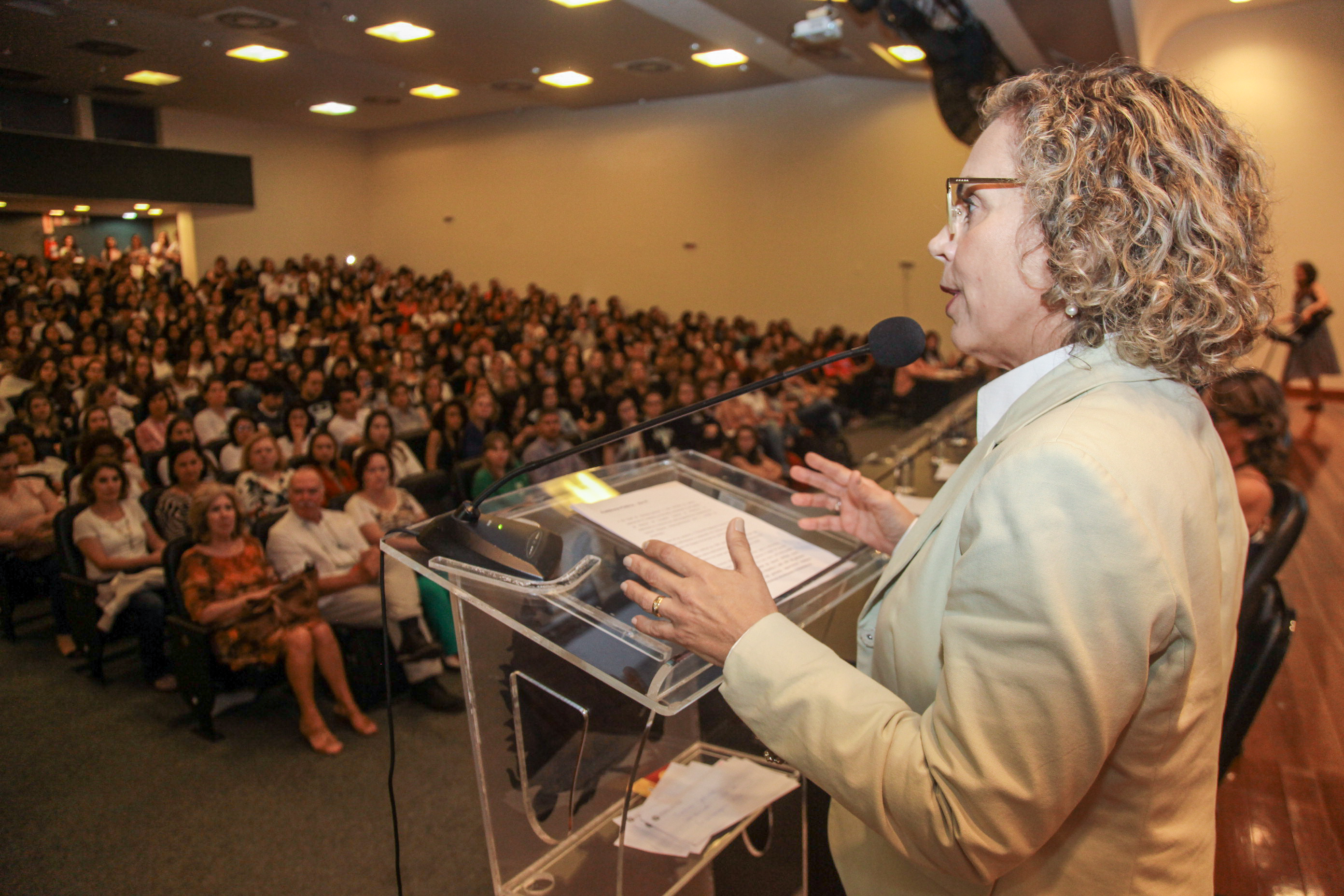 Audiência Pública Sobre a Prática da Enfermagem na Atenção Básica de Saúde