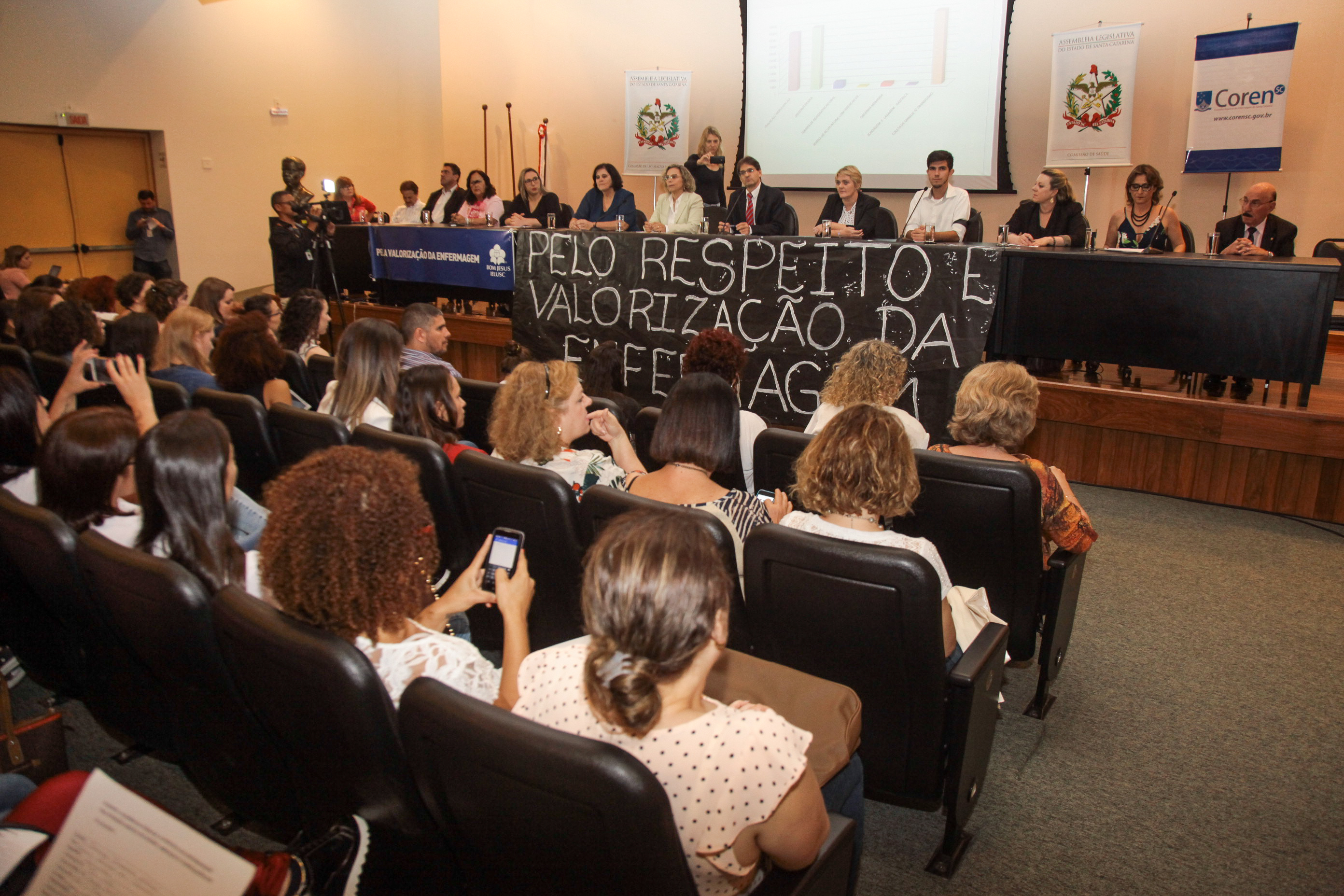 Audiência Pública Sobre a Prática da Enfermagem na Atenção Básica de Saúde