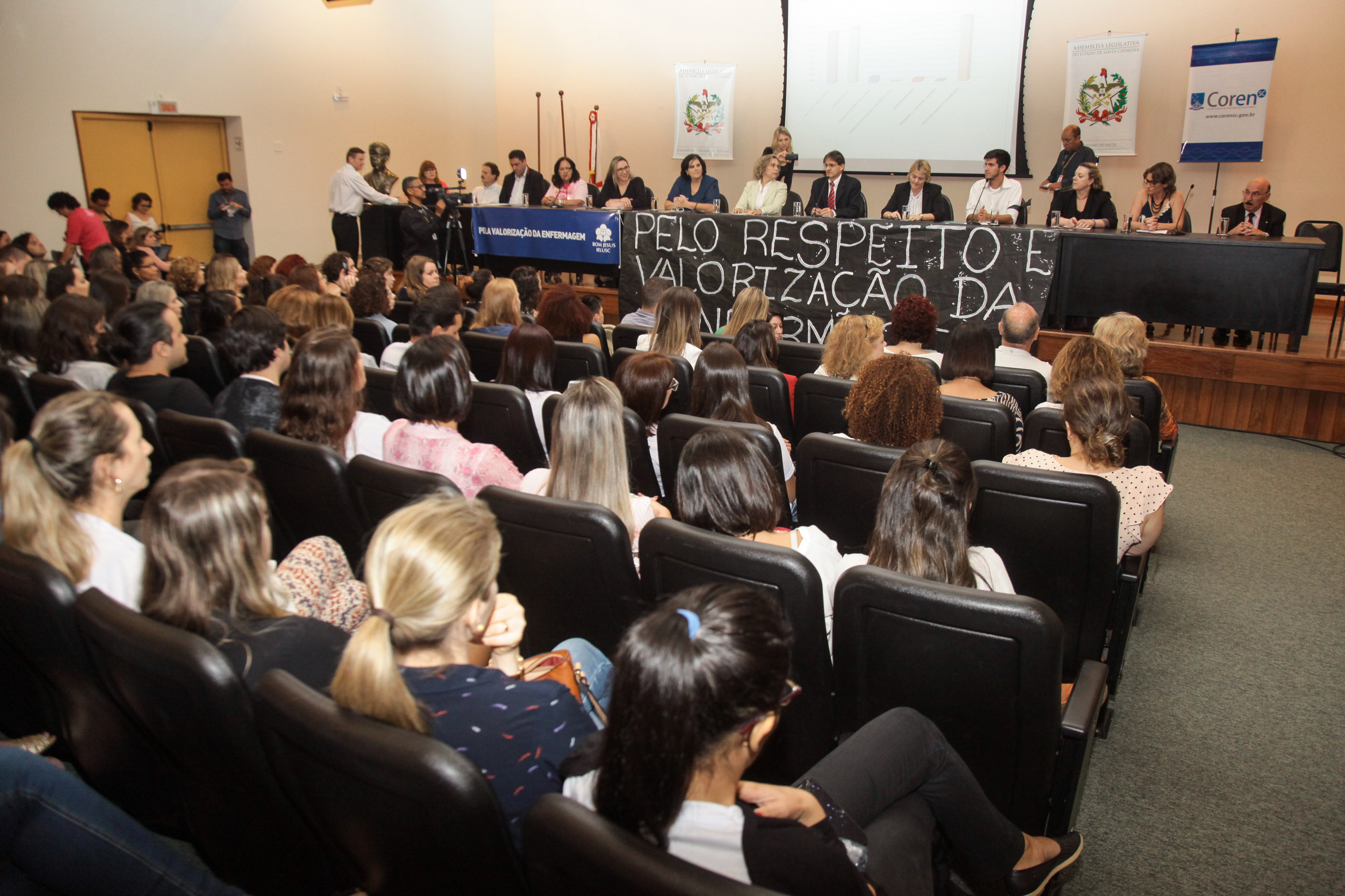 Audiência Pública Sobre a Prática da Enfermagem na Atenção Básica de Saúde