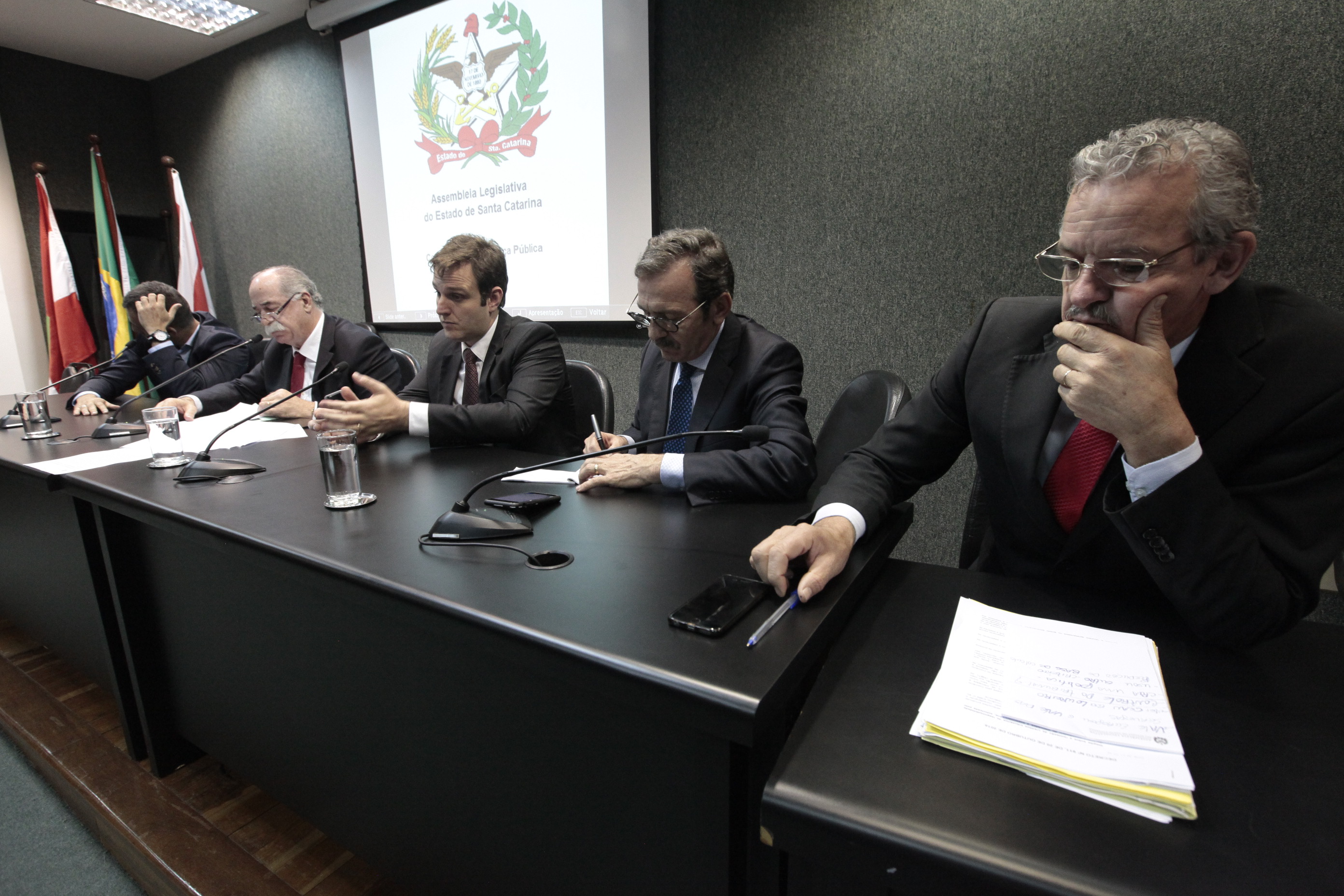 Comissão de Segurança Pública