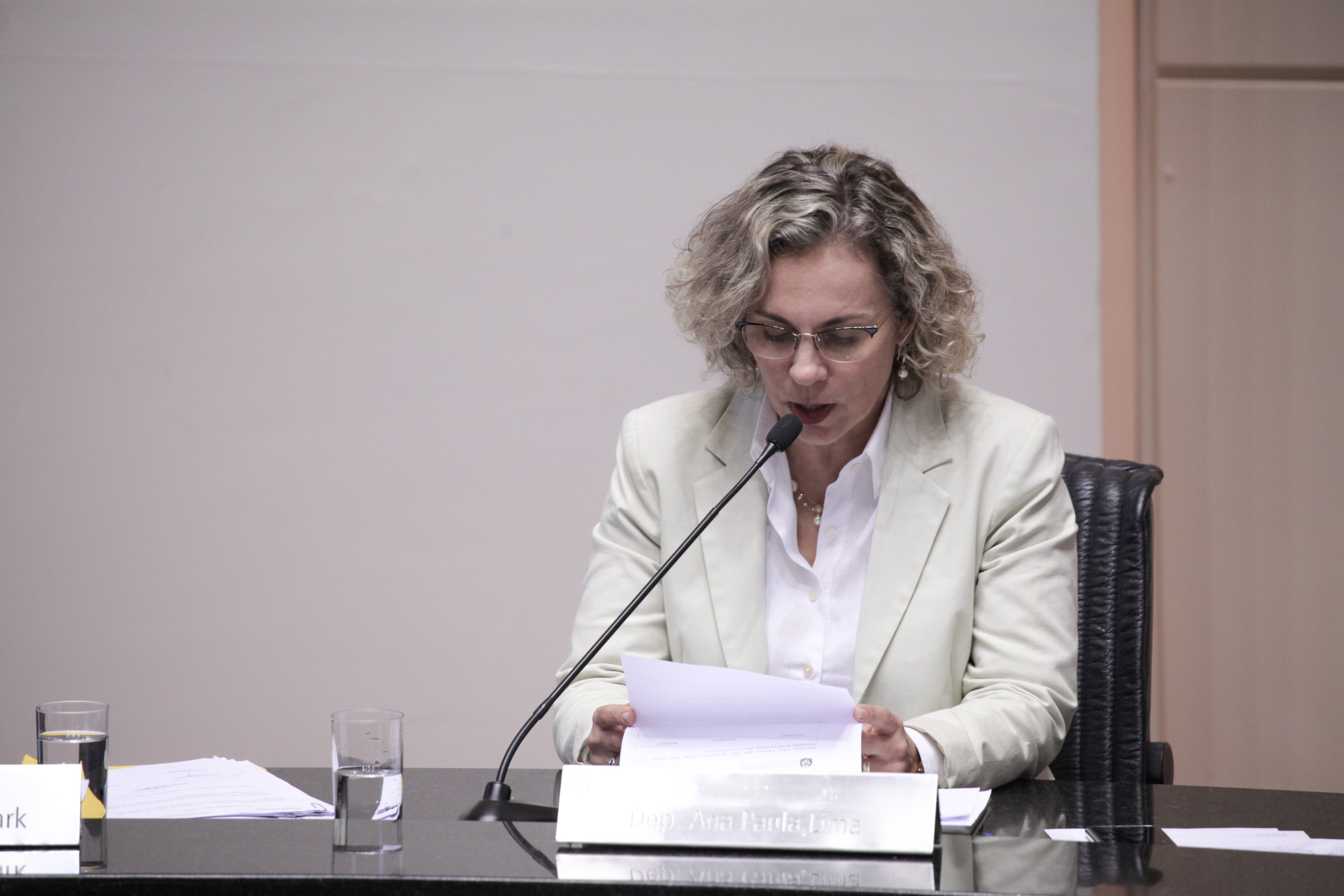 Deputada Ana Paula Lima (PT). Sessão Ordinária. Foto: Karina Ferreira / Agência AL